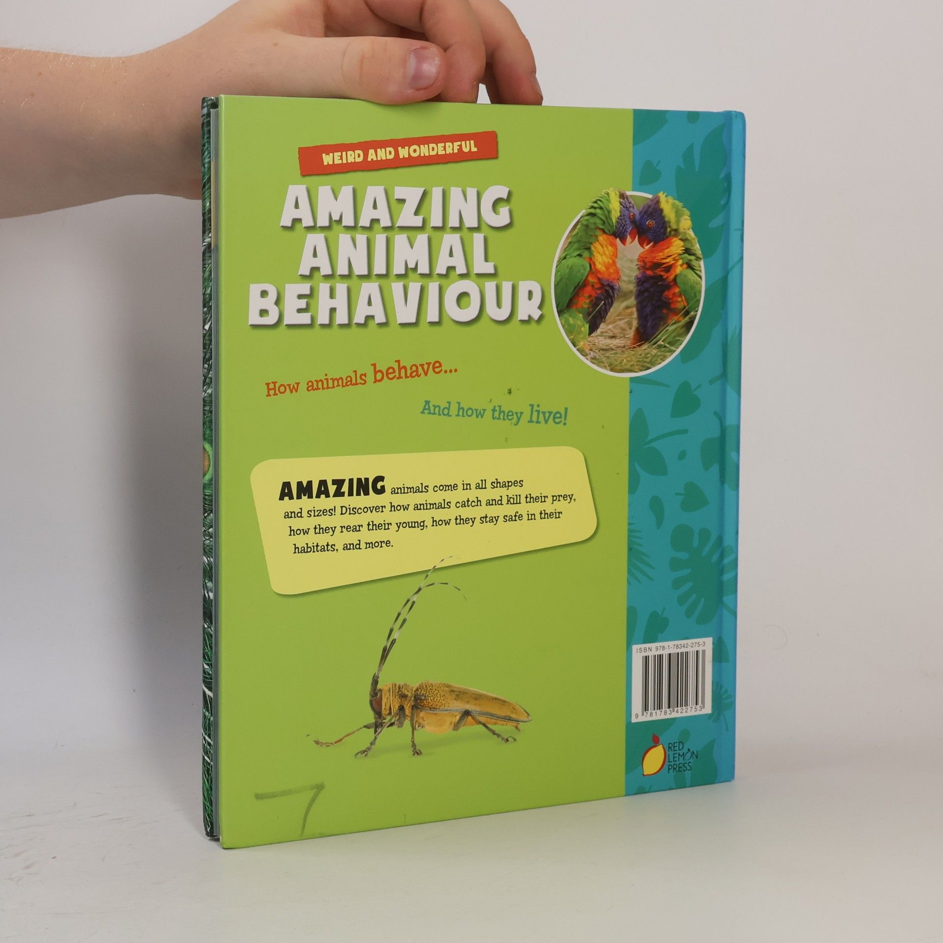 Wild World: Amazing Animal Behaviour