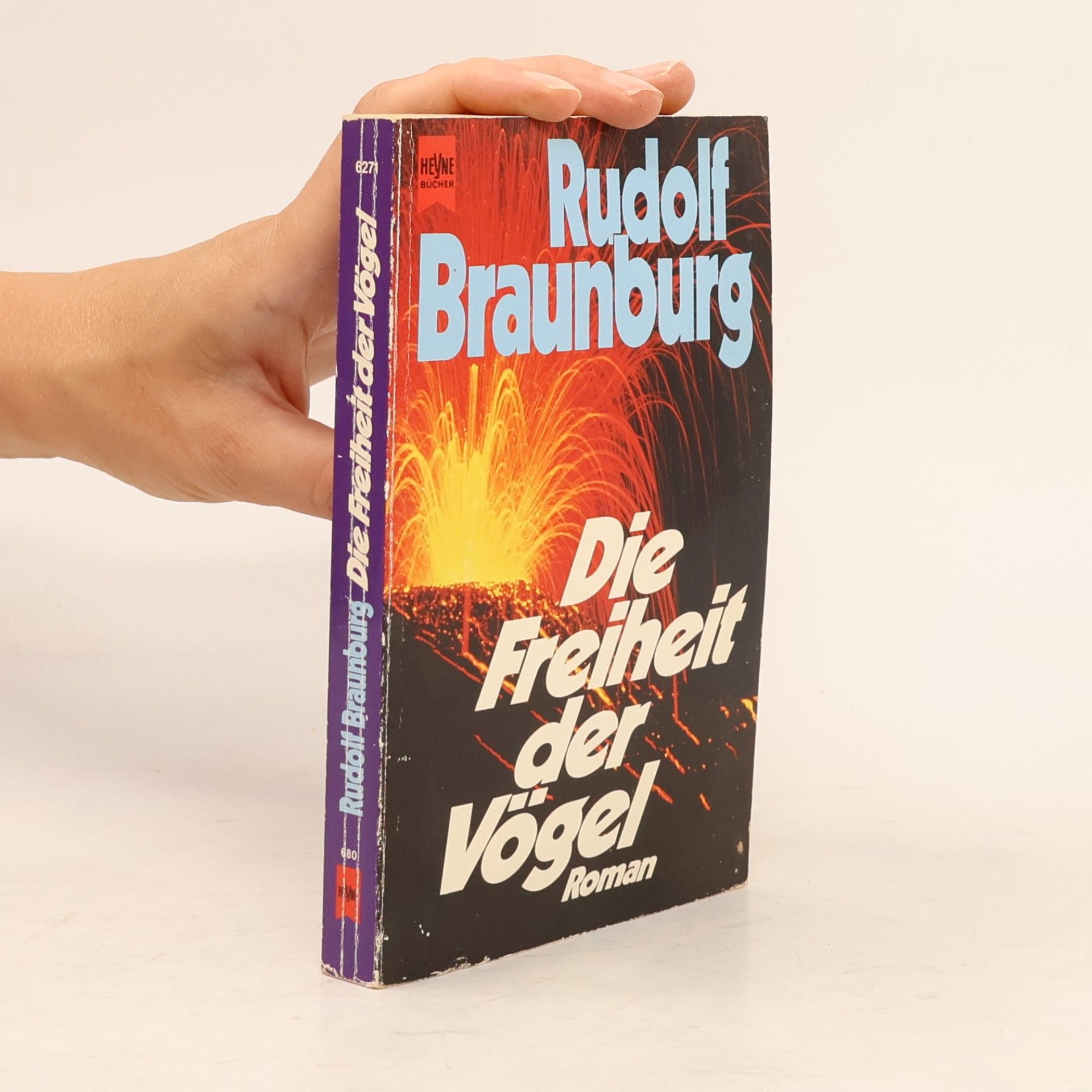 Rudolf Braunburg Die Freiheit der Vögel