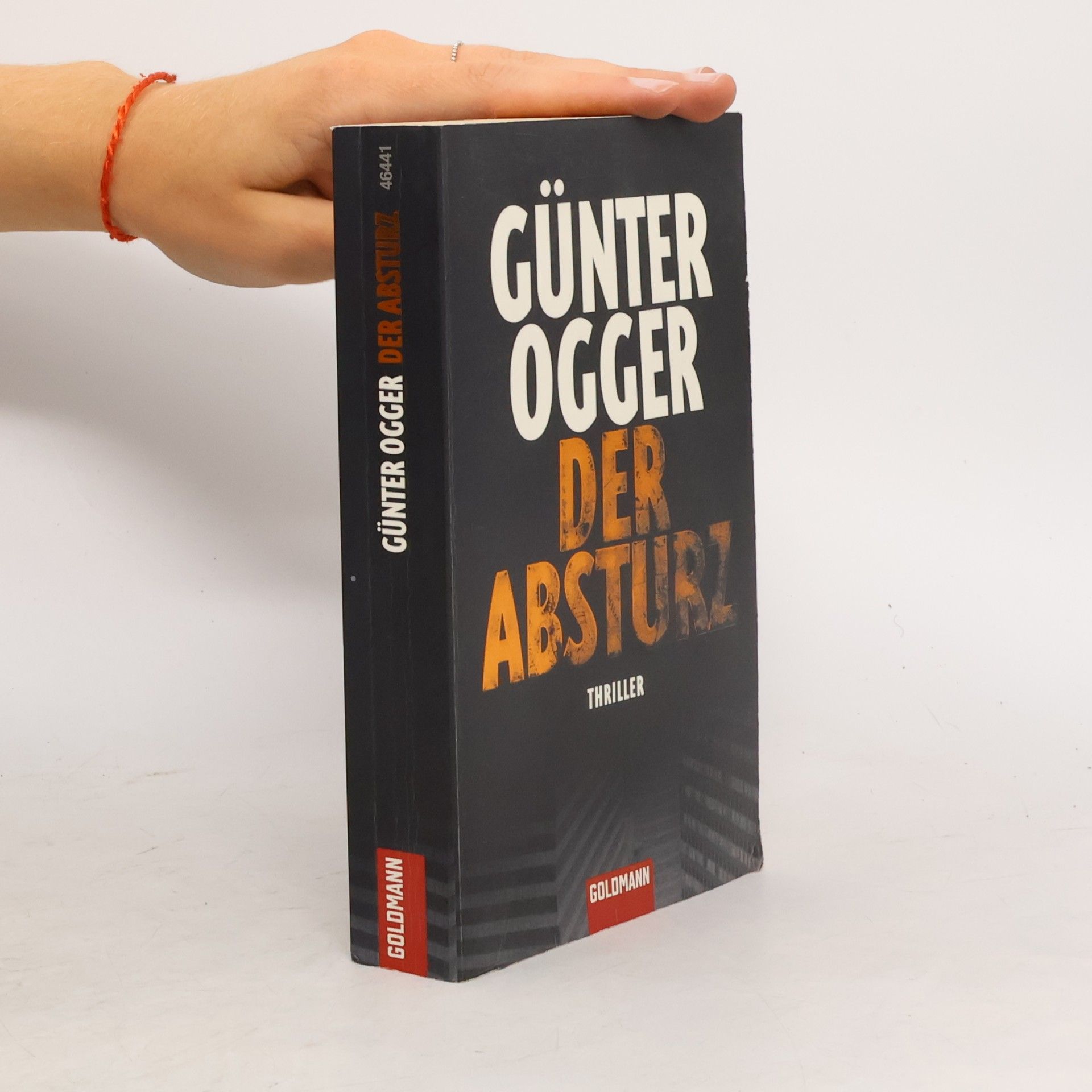 Günter Ogger Der Absturz