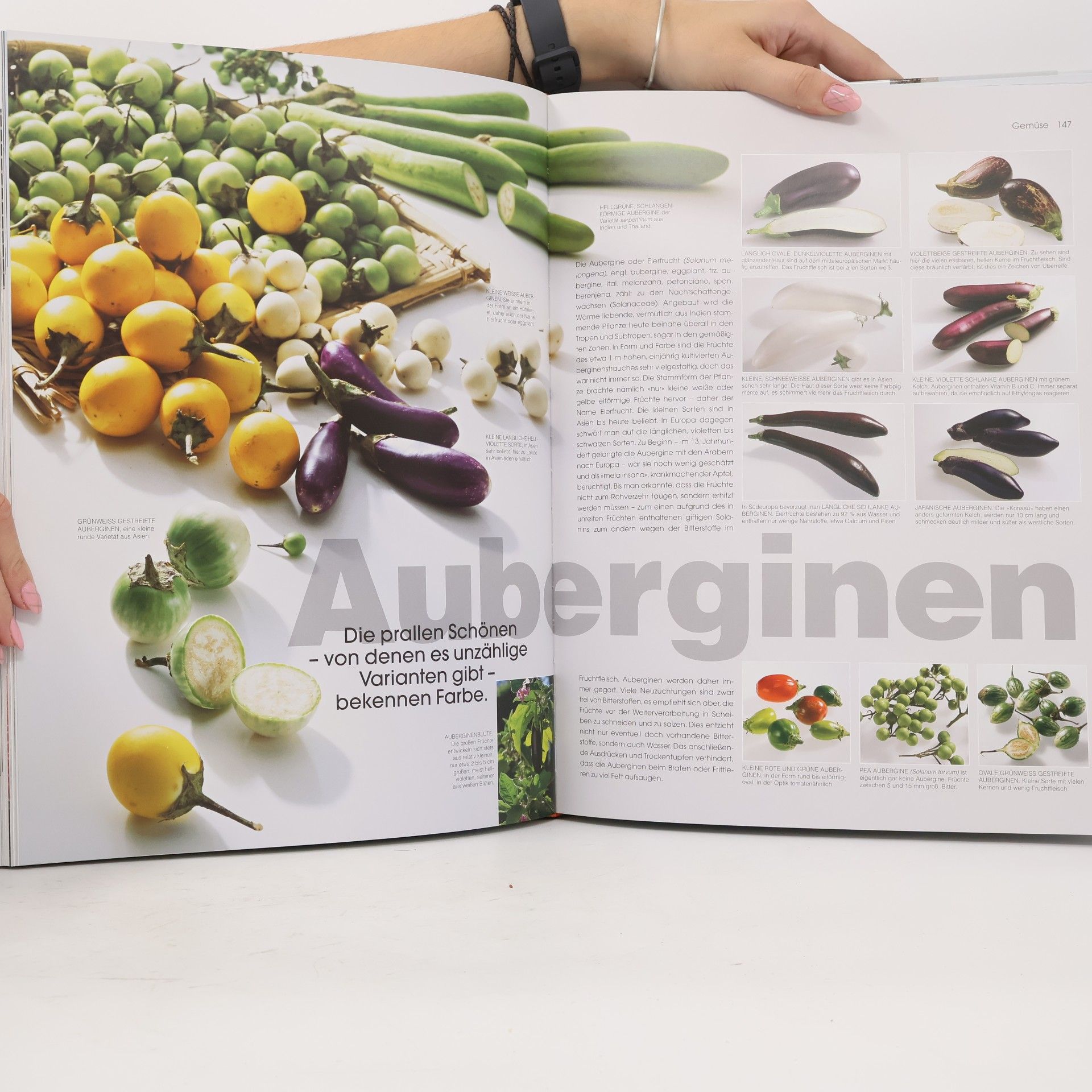 Christian Teubner Food: The world of food