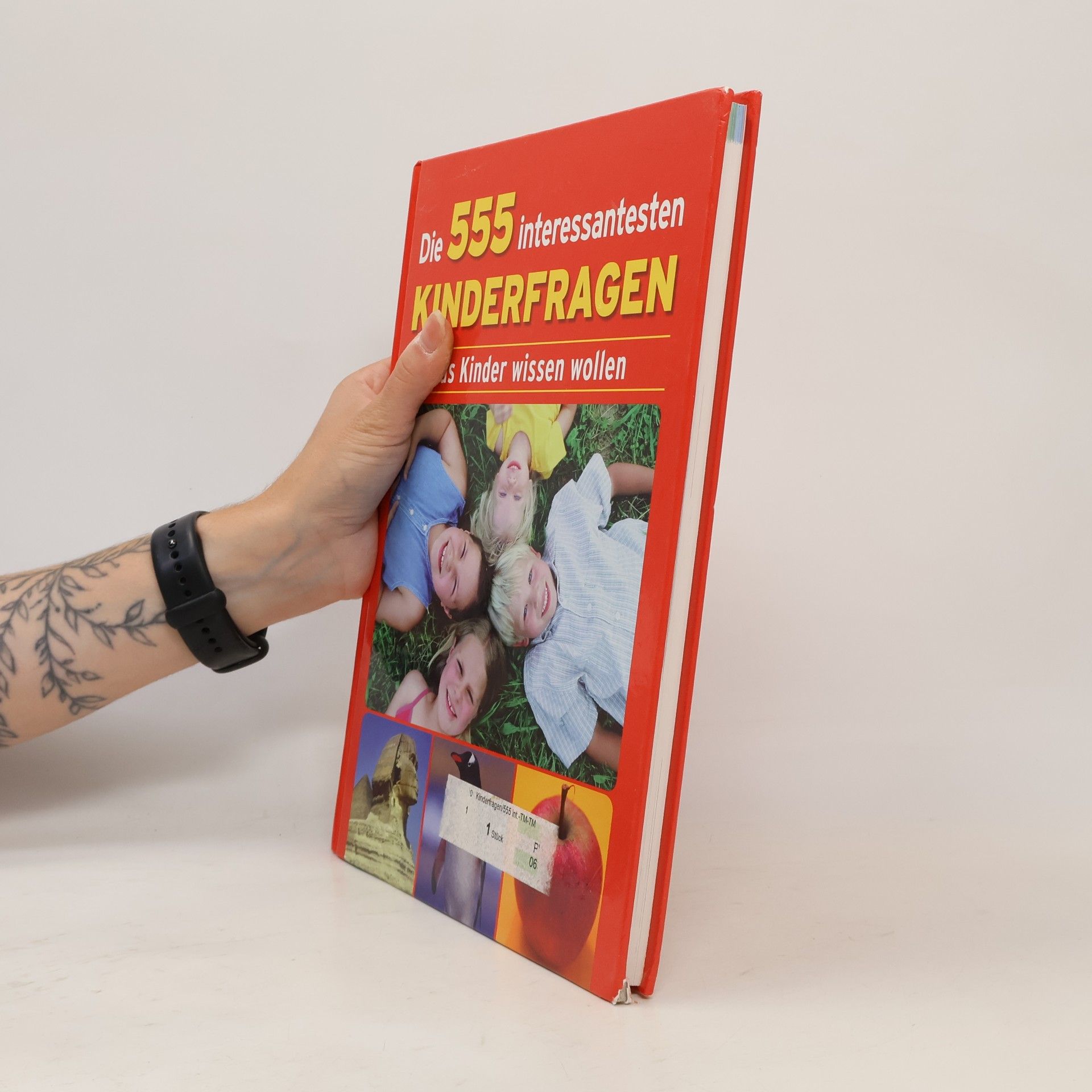 Kolektiv autorů Die 555 interessantesten Kinderfragen