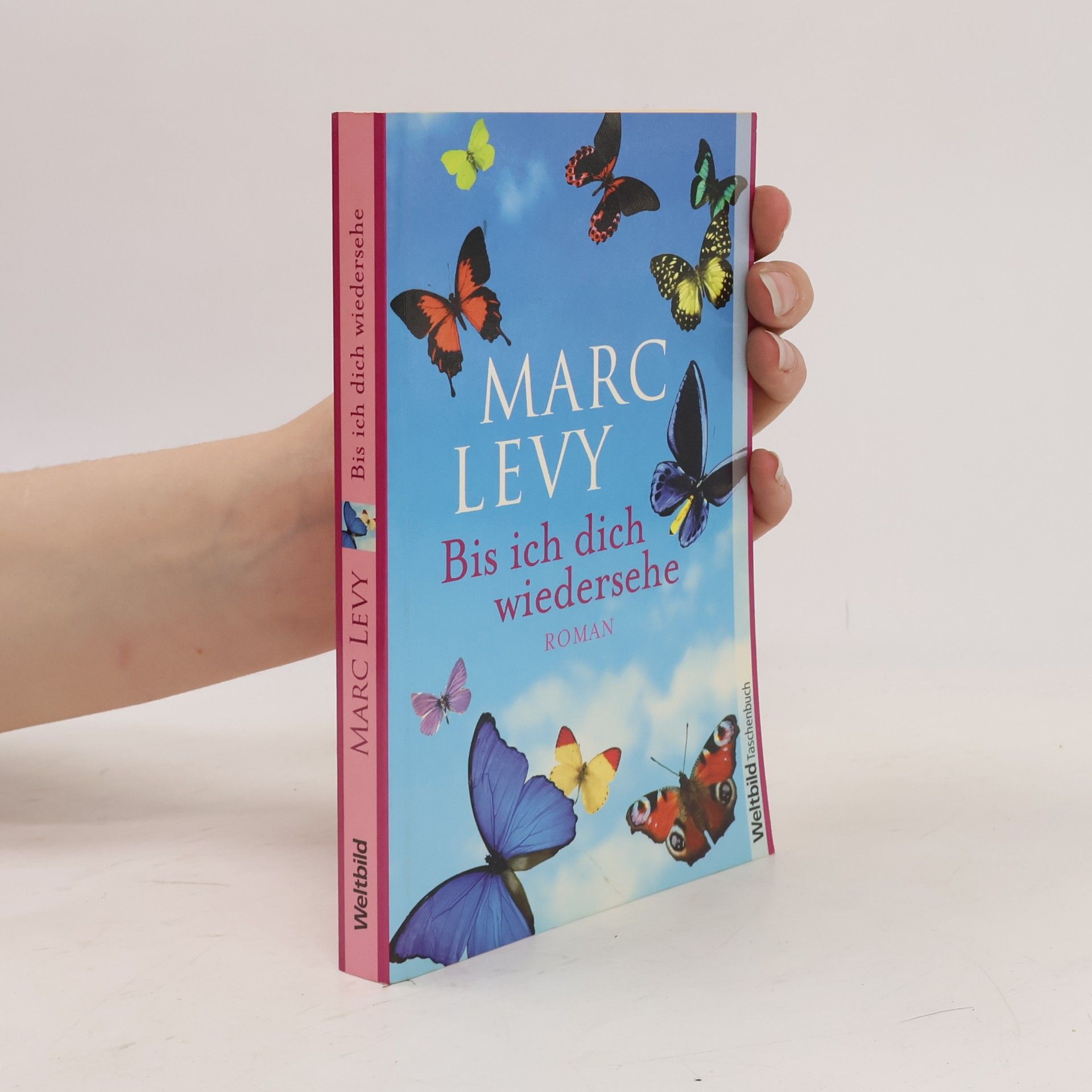 Marc Lévy Bis ich dich wiedersehe
