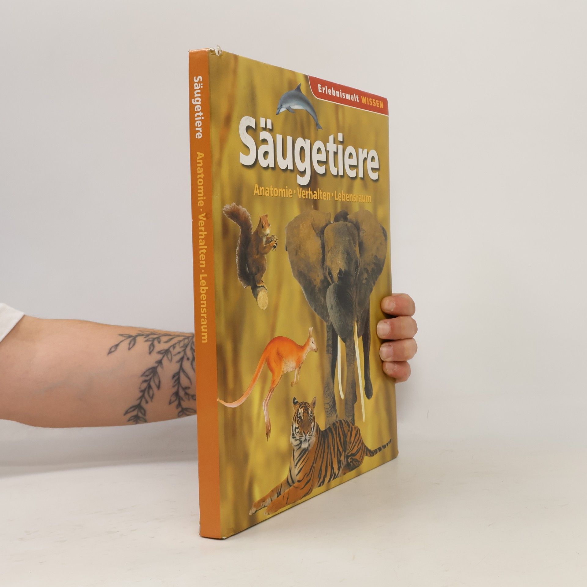 Autores varios Säugetiere