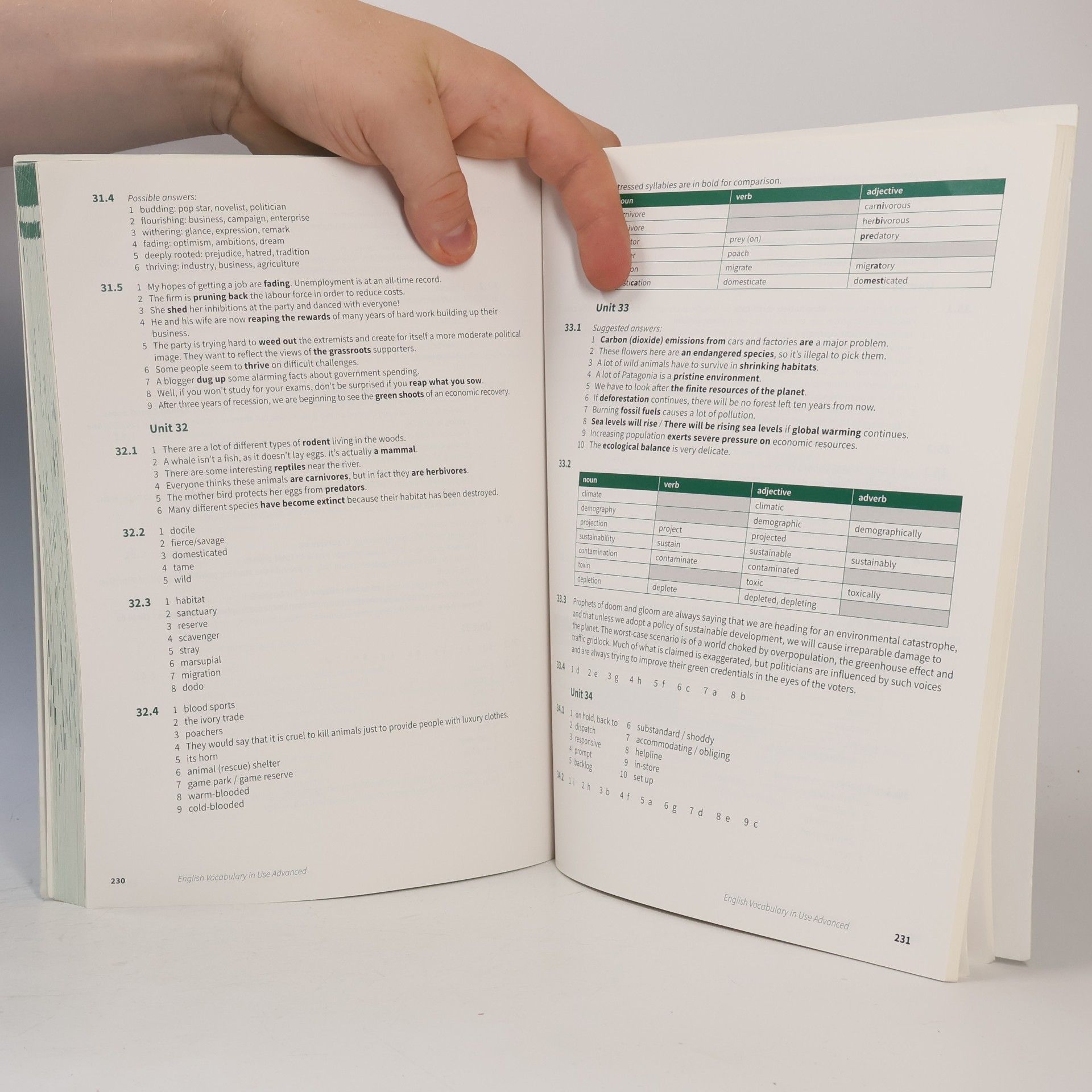 Felicity O'Dell English Vocabulary in Use: Advanced Book with Answers: Vocabulary Reference and Practice