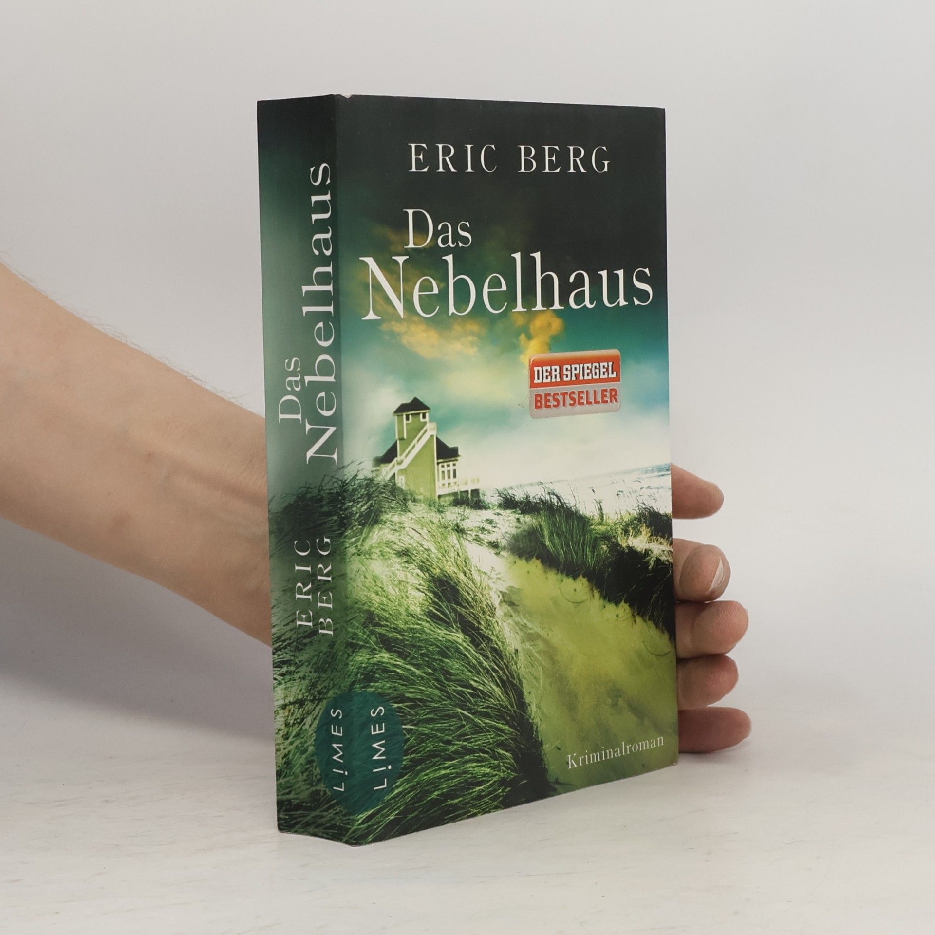 Eric Berg Das Nebelhaus