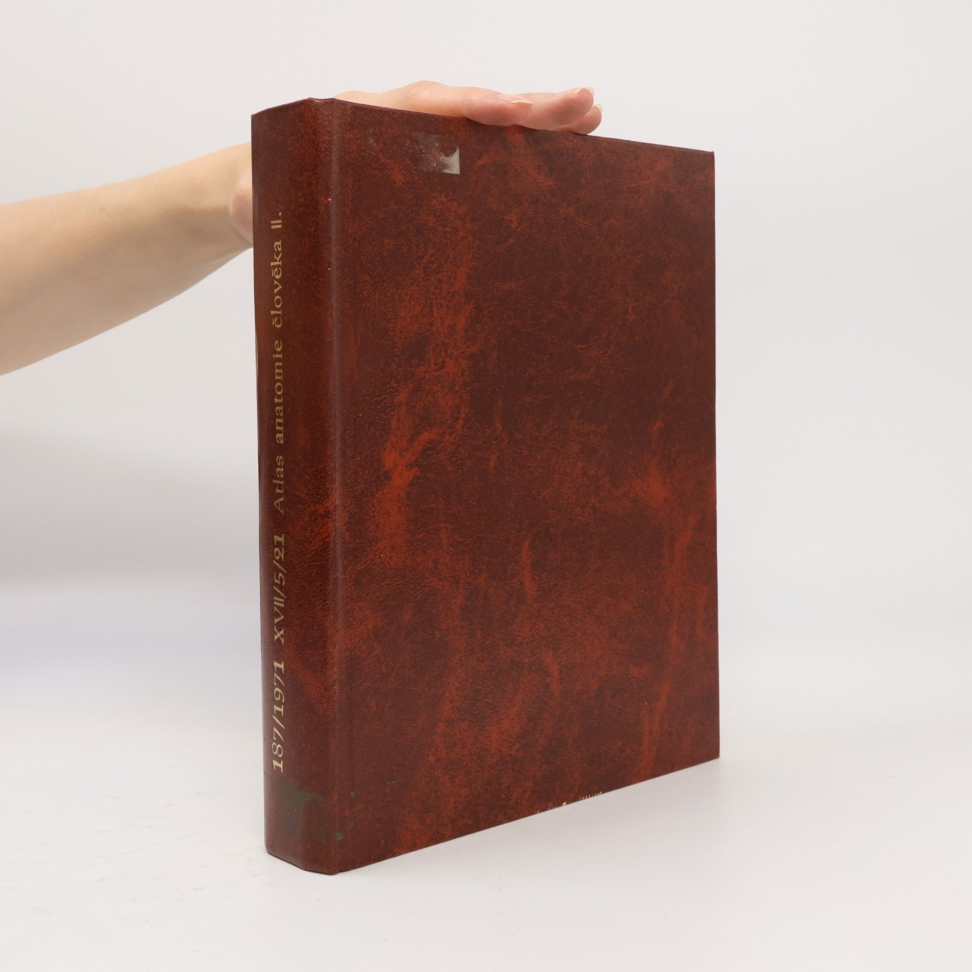 R. D. Sinělnikov Atlas a anatomie člověka. Díl II.