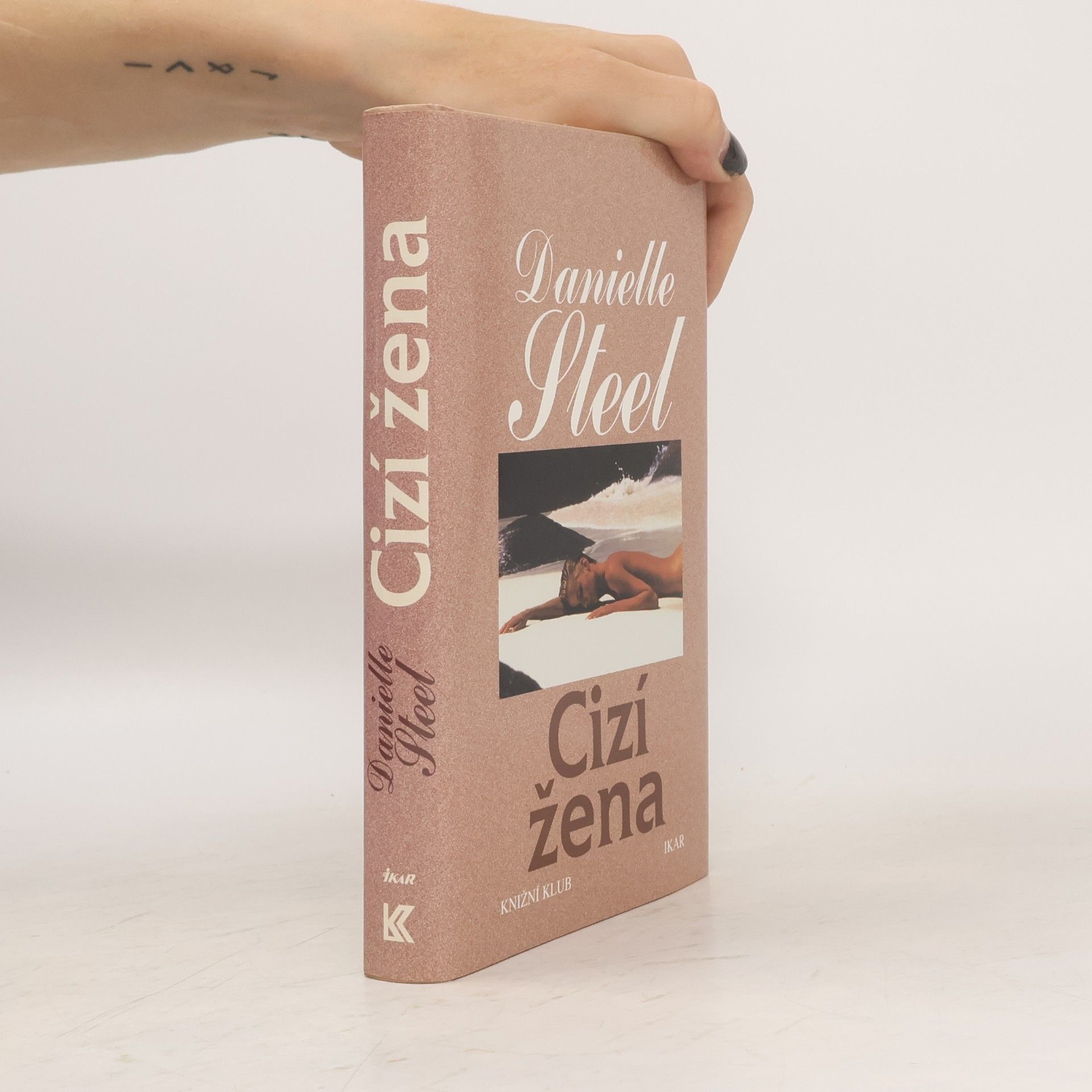 Danielle Steel Cizí žena