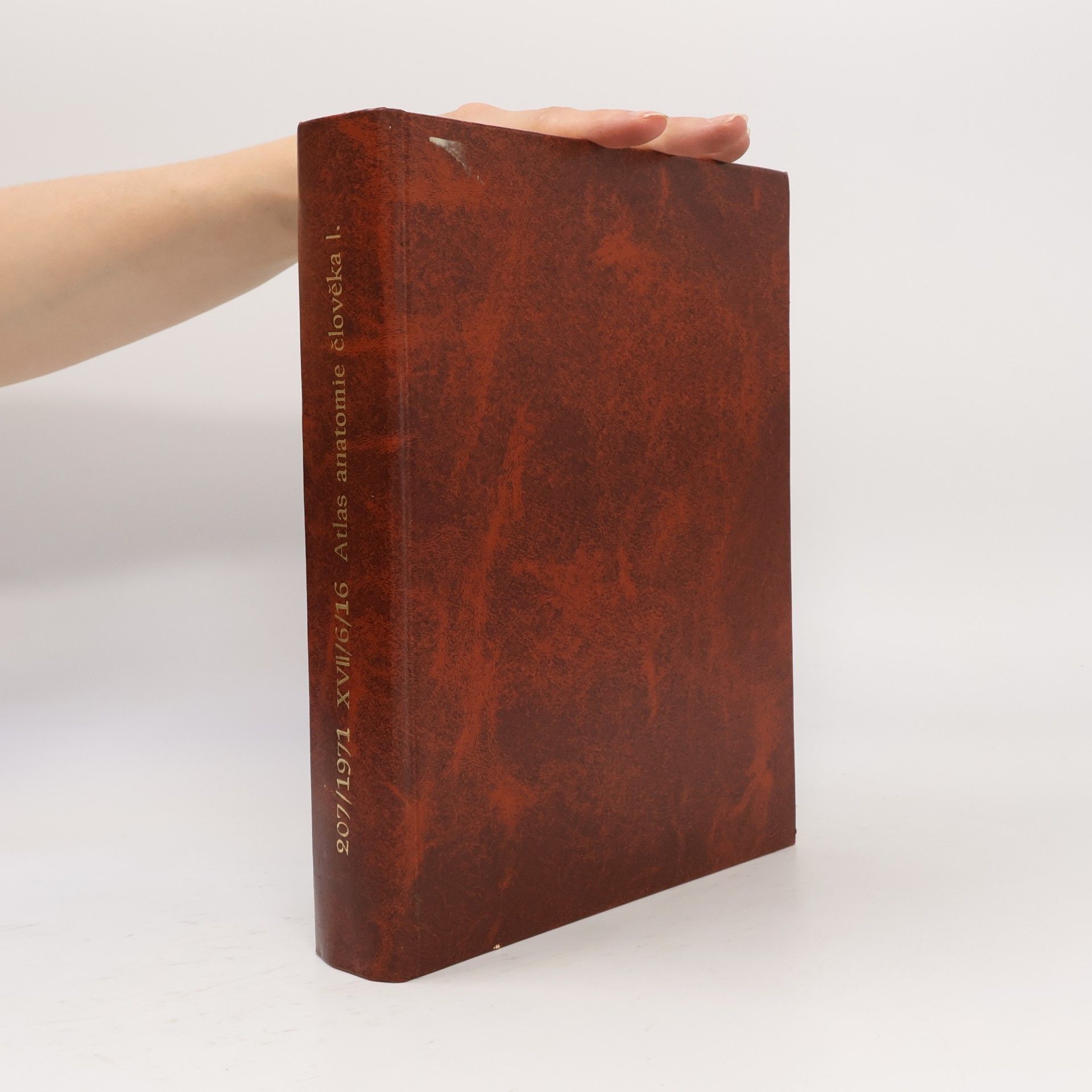 R. D. Sinělnikov Atlas anatomie člověka I