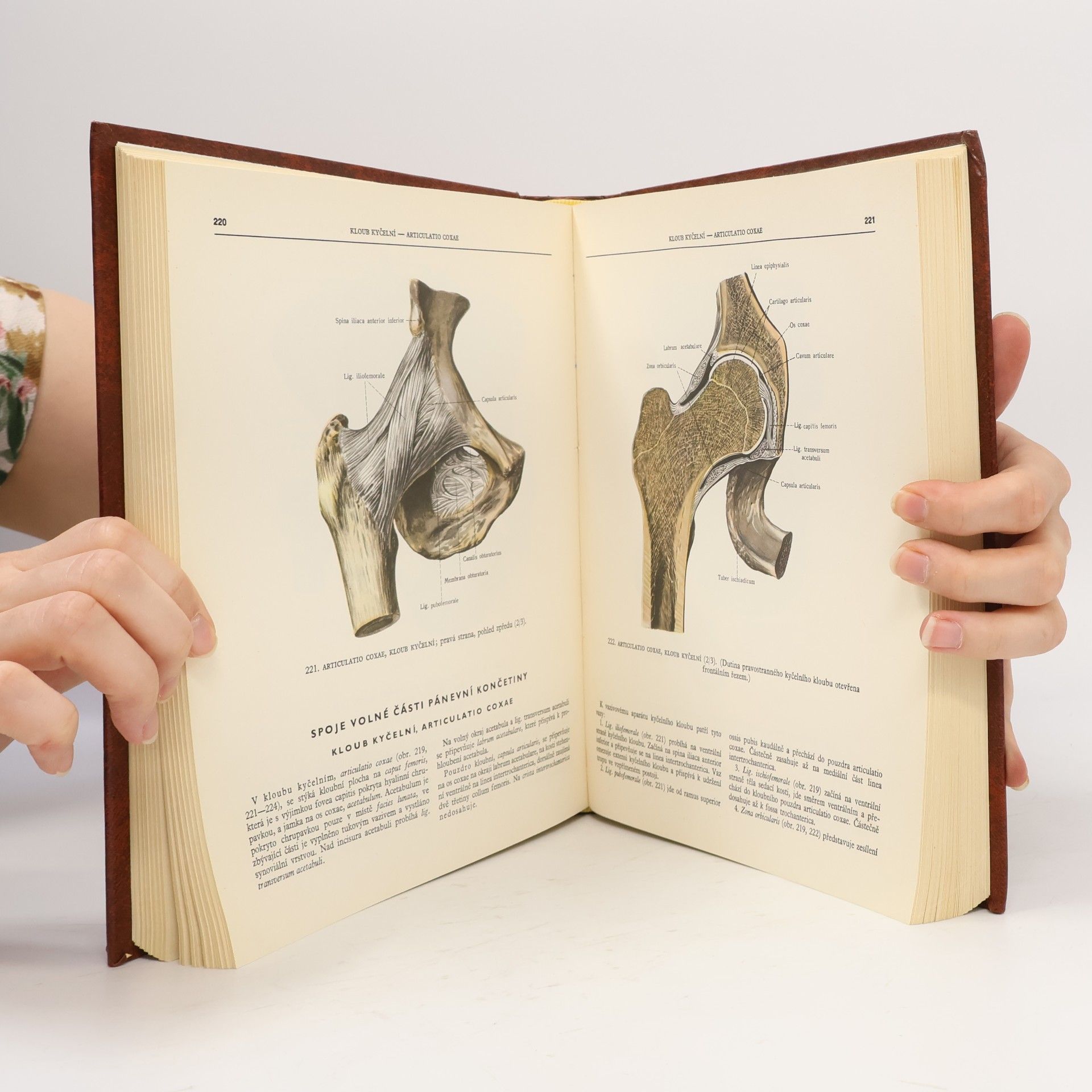 R. D. Sinělnikov Atlas anatomie člověka I