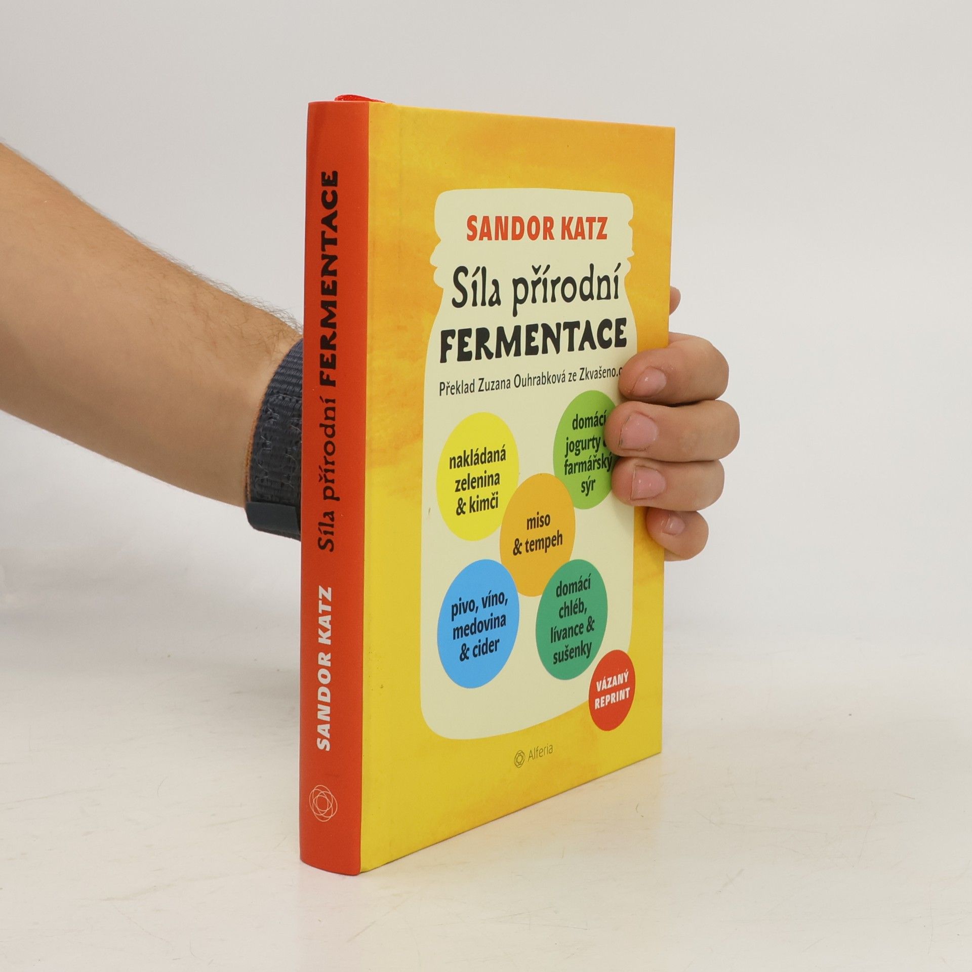 Sandor Ellix Katz Síla přírodní fermentace