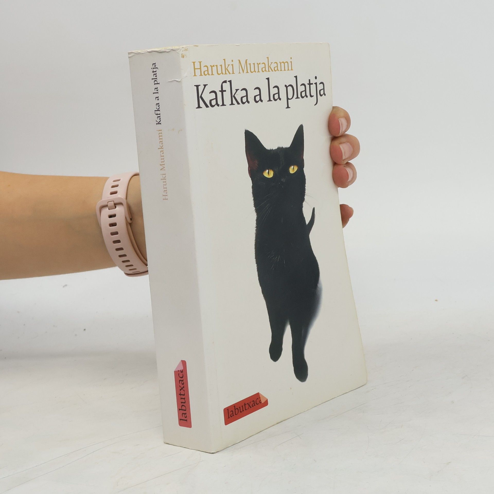 Albert Nolla Cabellos Kafka a la platja