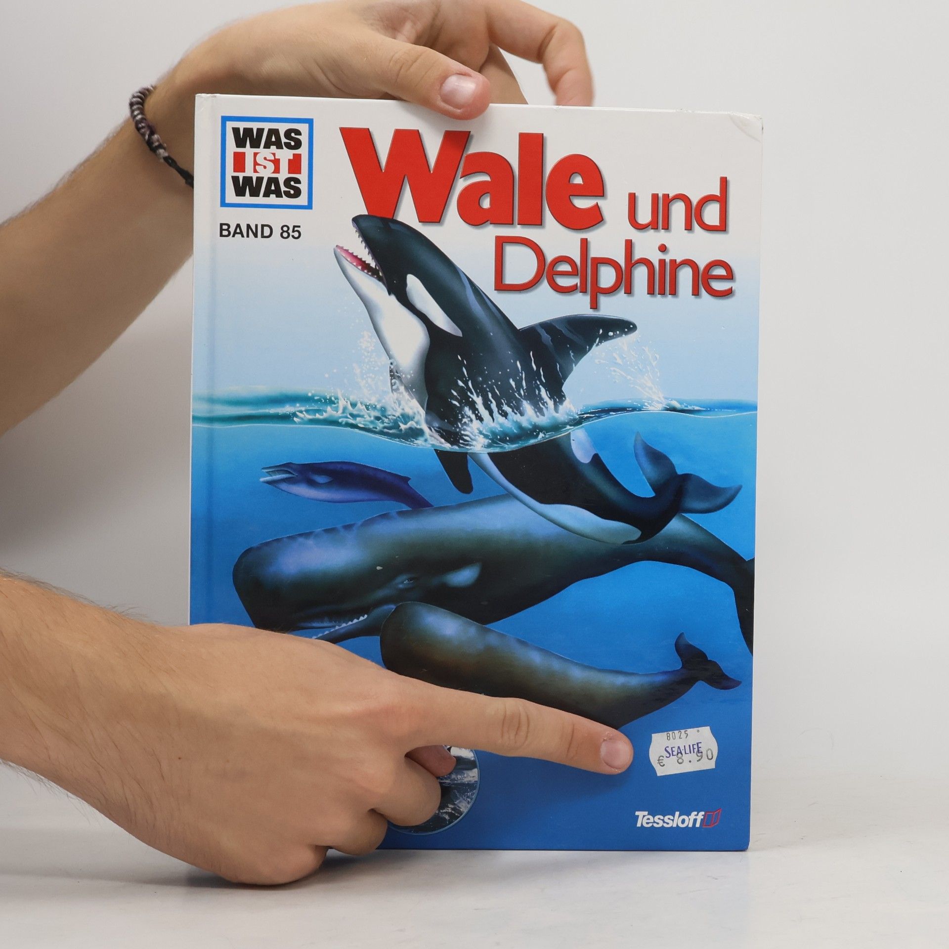 Petra Deimer-Schütte Wale und Delphine