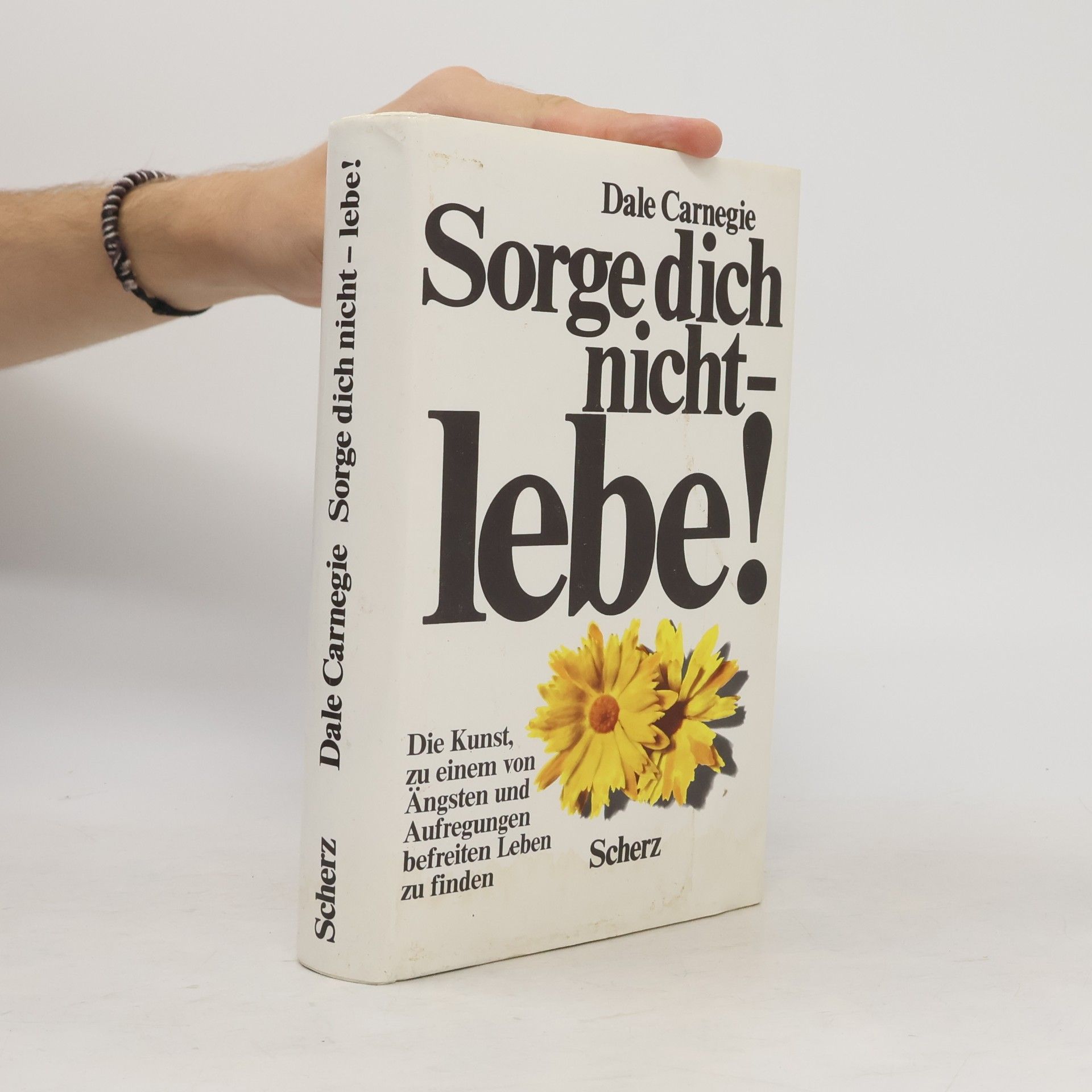 Dale Carnegie Sorge dich nicht - lebe!