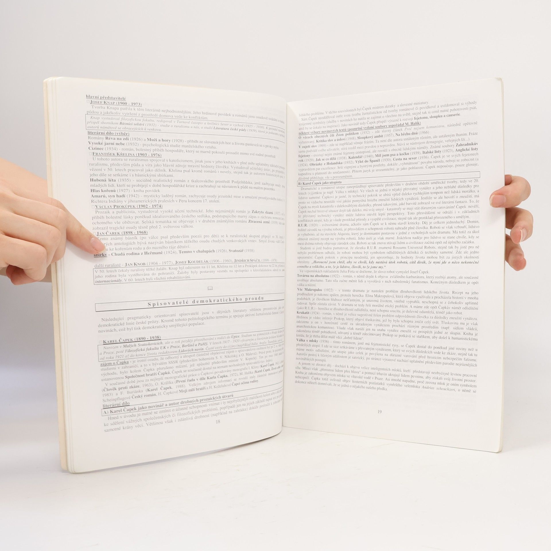 Vladimír Prokop Přehled české literatury 20. století