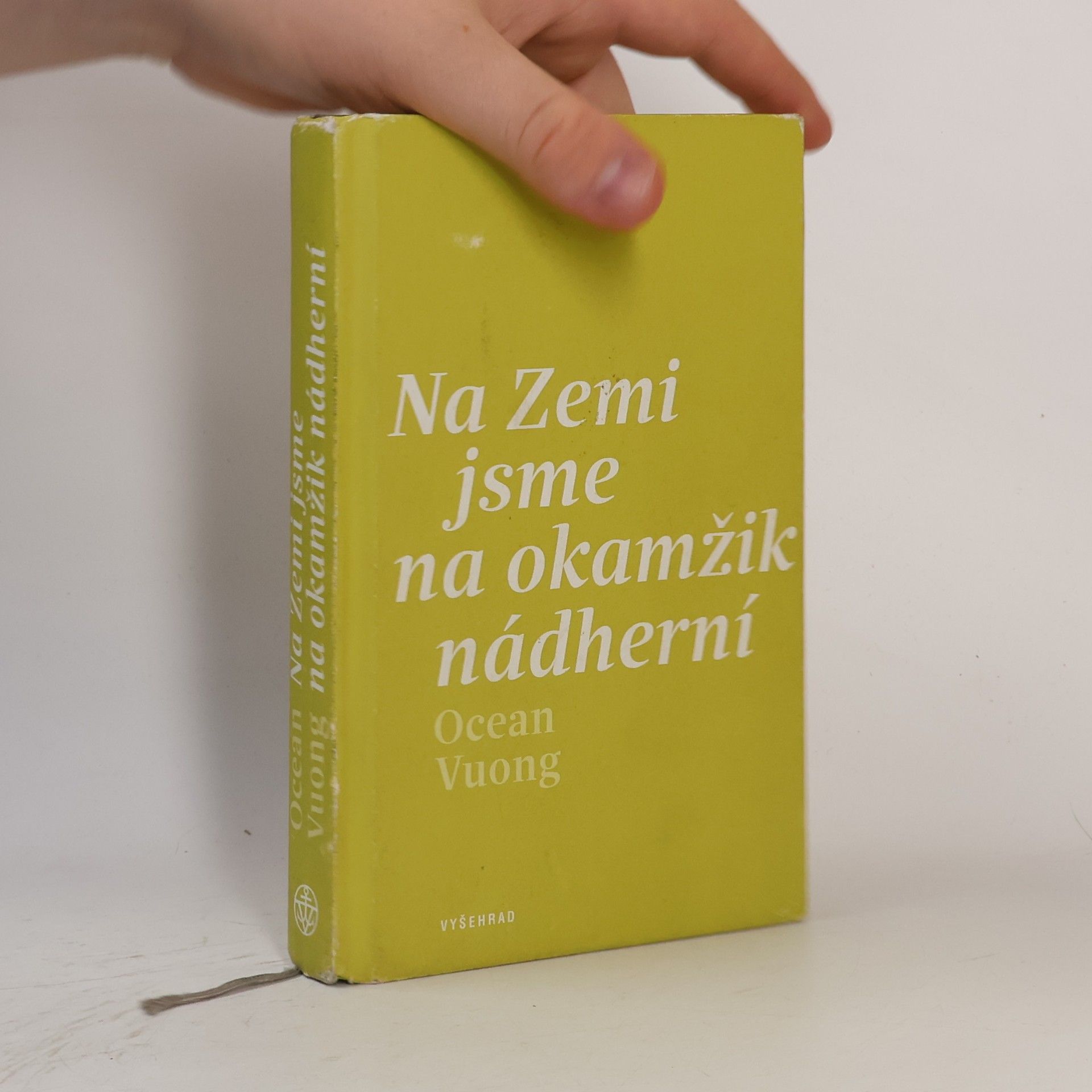 Ocean Vuong Na Zemi jsme na okamžik nádherní