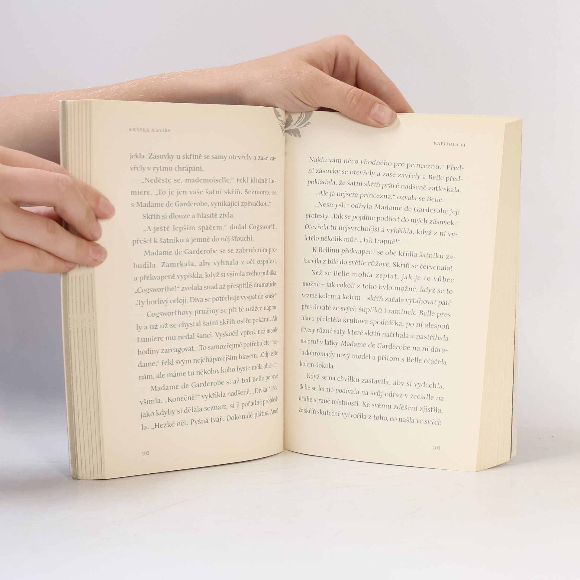 Elizabeth Rudnick Kráska a Zvíře