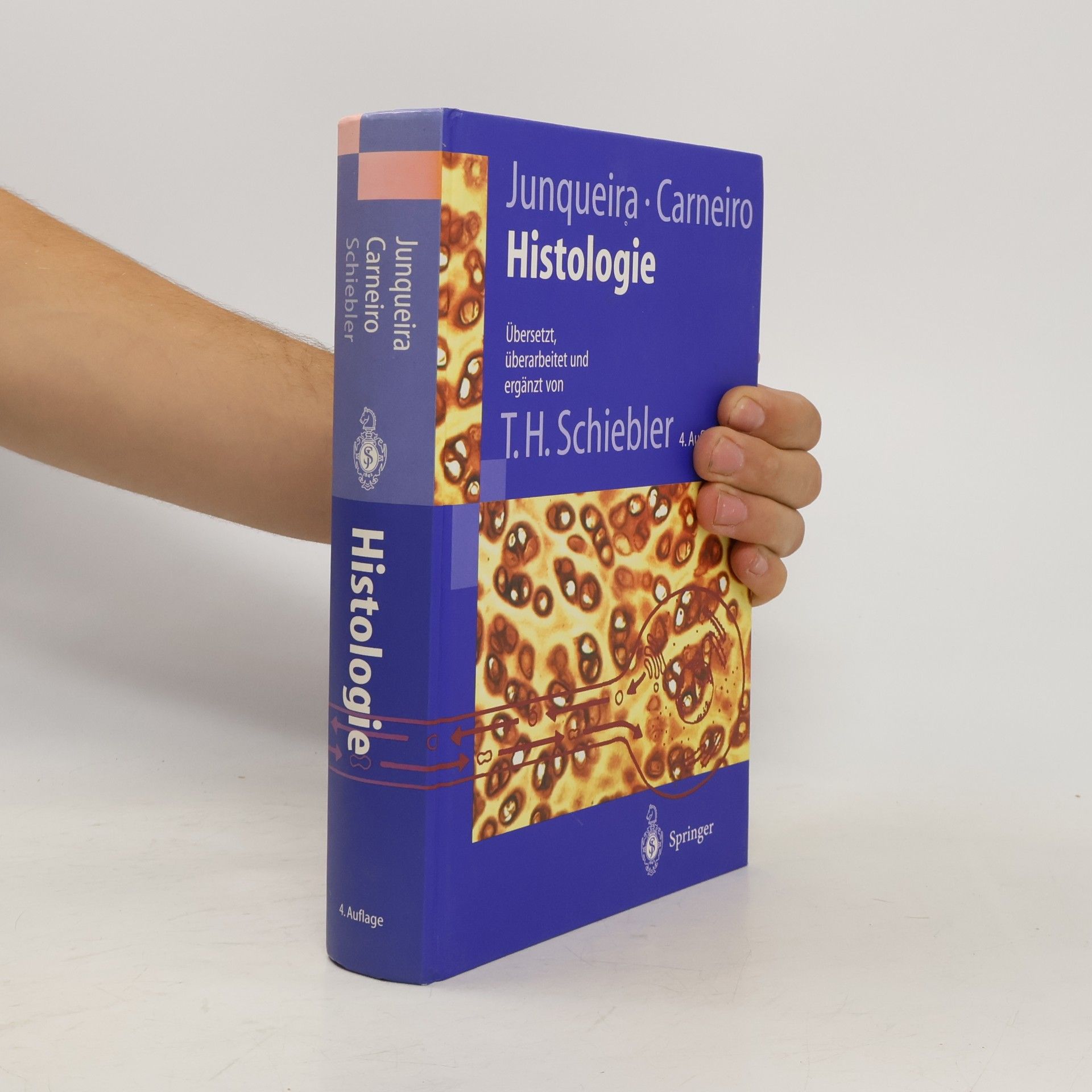 Theodor Heinrich Schiebler Histologie