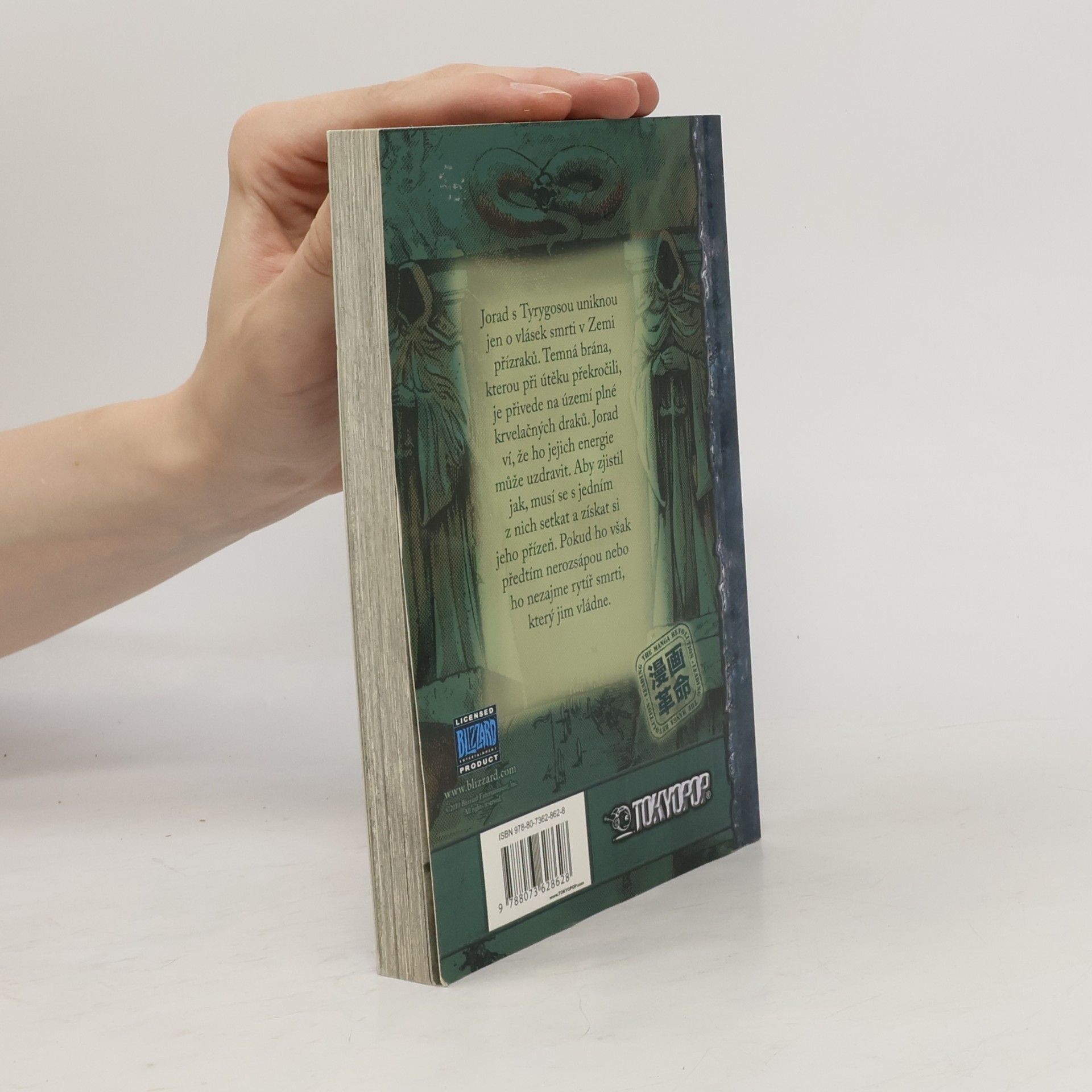 Richard A. Knaak World of WarCraft: Hodina stínů. Díl první: Dračí země