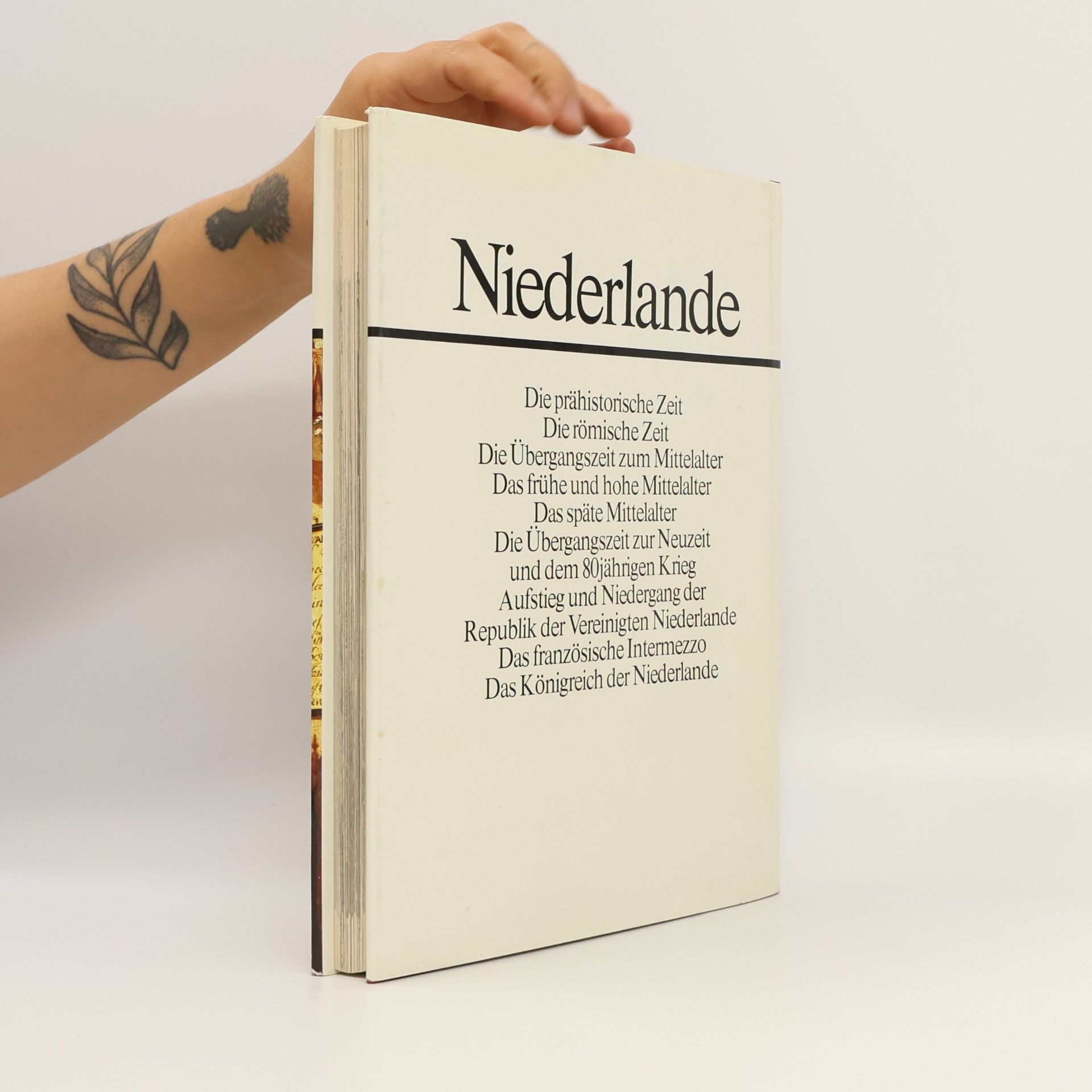Auteurscollectief Kleine Geschichte großer Nationen. Niederlande