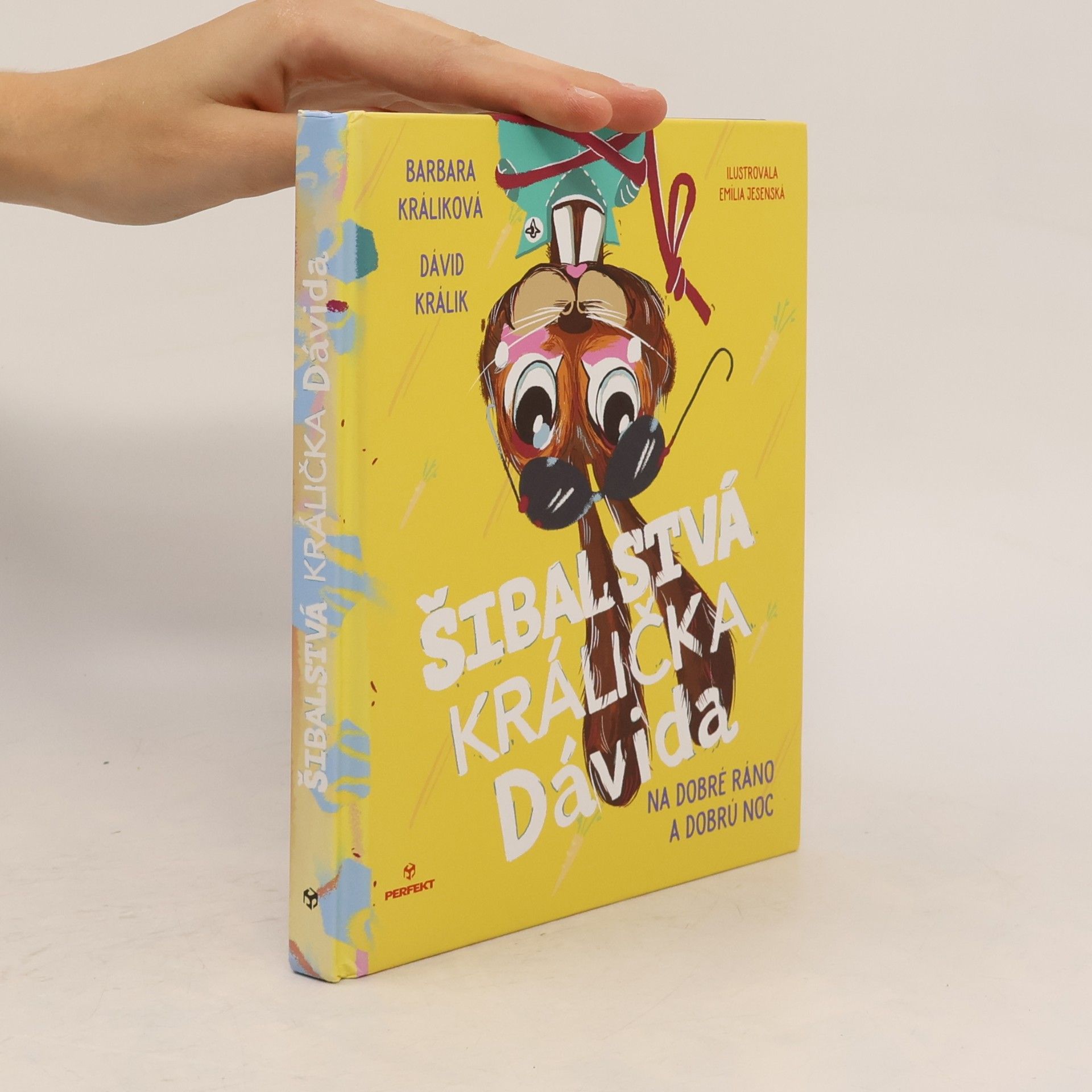 Dávid Králik Šibalstvá králička Dávida - Na dobré ráno a dobrú noc