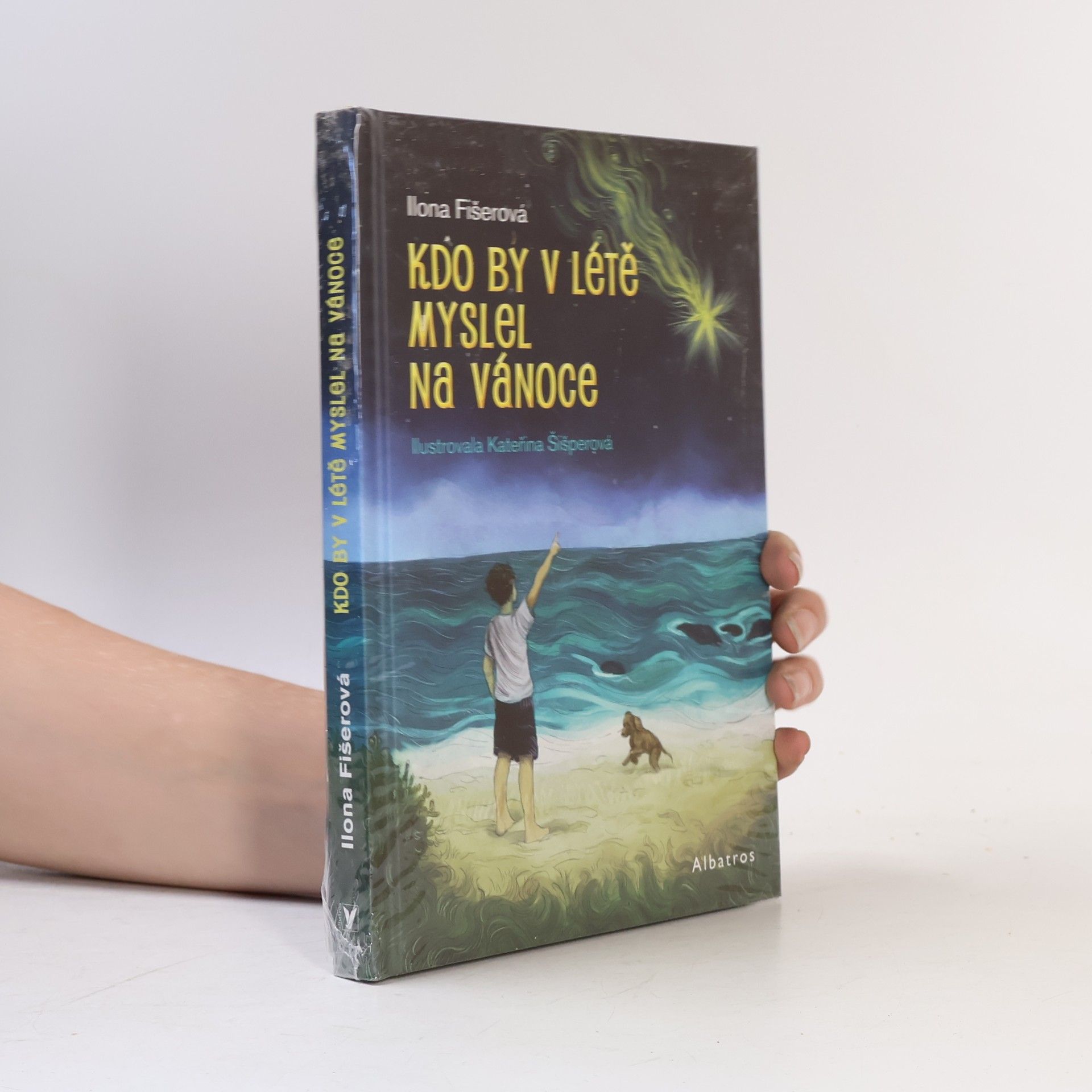 Jan Melíšek Kdo by v létě myslel na Vánoce