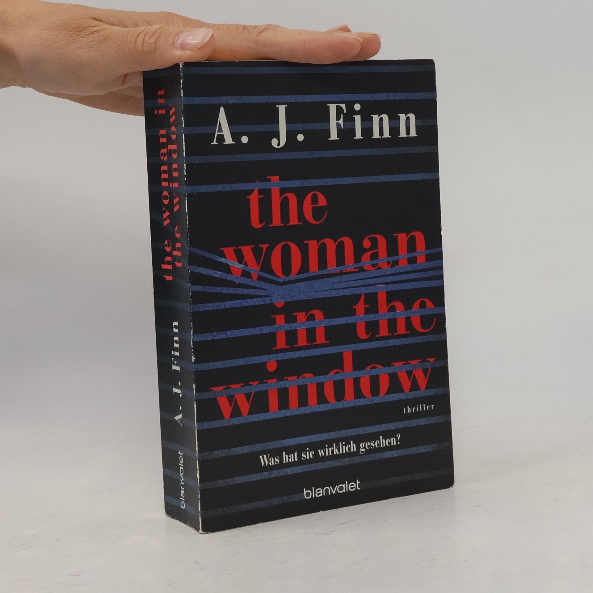 Daniel Mallory The Woman in the Window