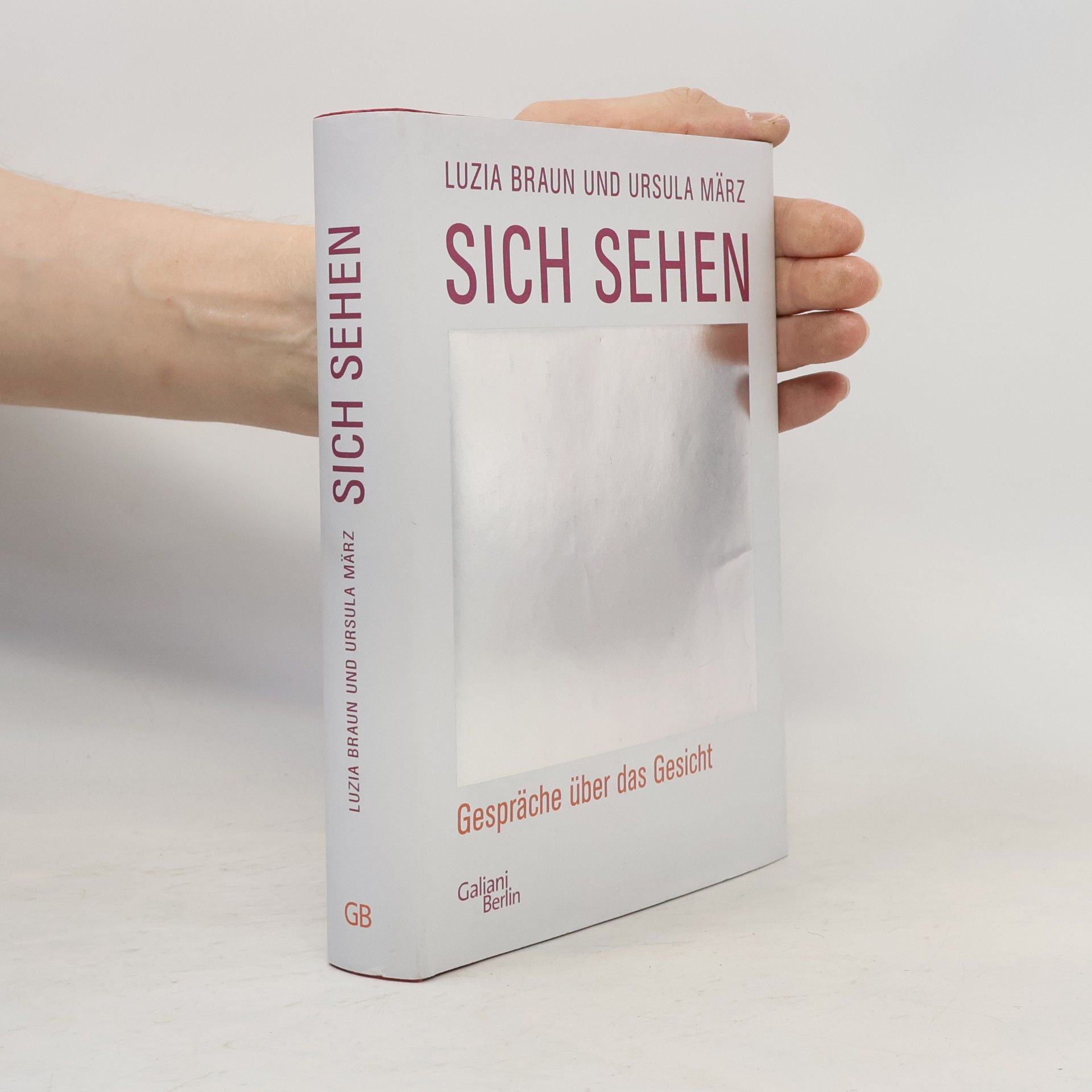 Luzia Braun Sich sehen. Gespräche über das Gesicht