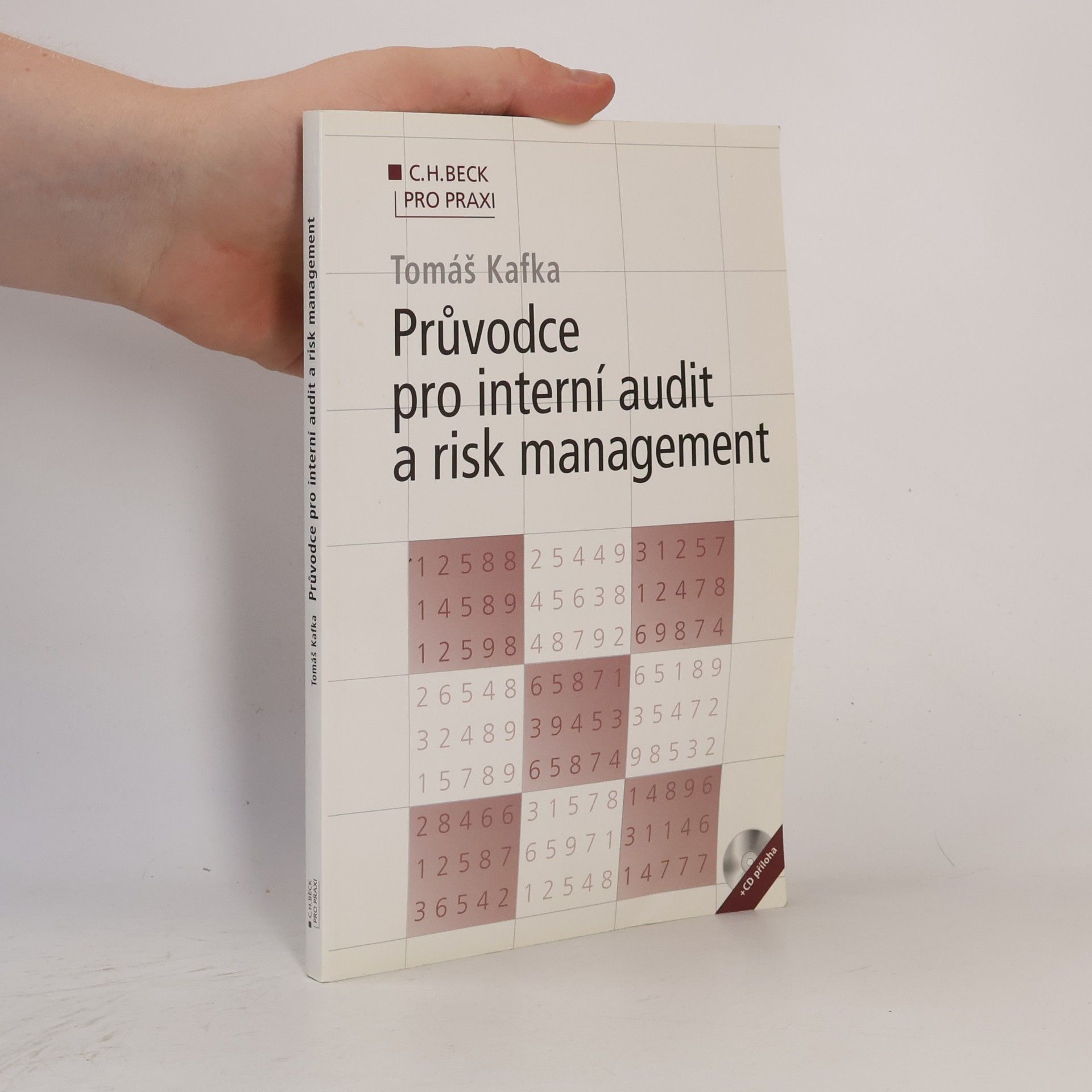 Tomáš Kafka Průvodce pro interní audit a risk management