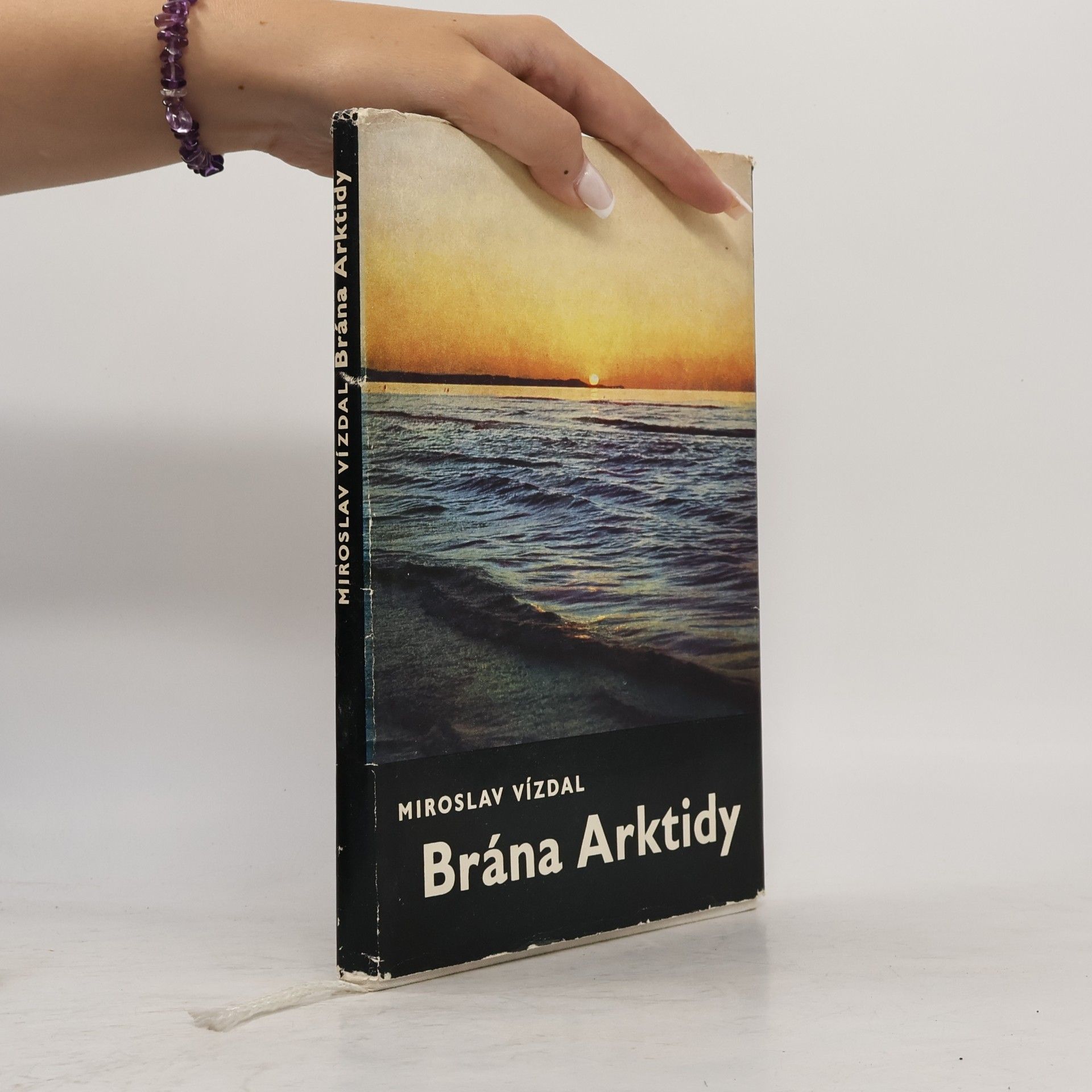 Miroslav Vízdal Brána Arktidy