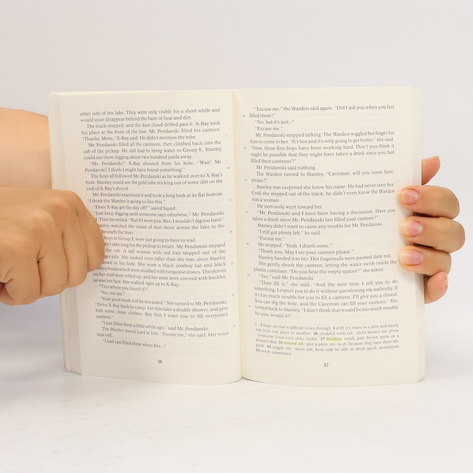Louis Sachar Holes