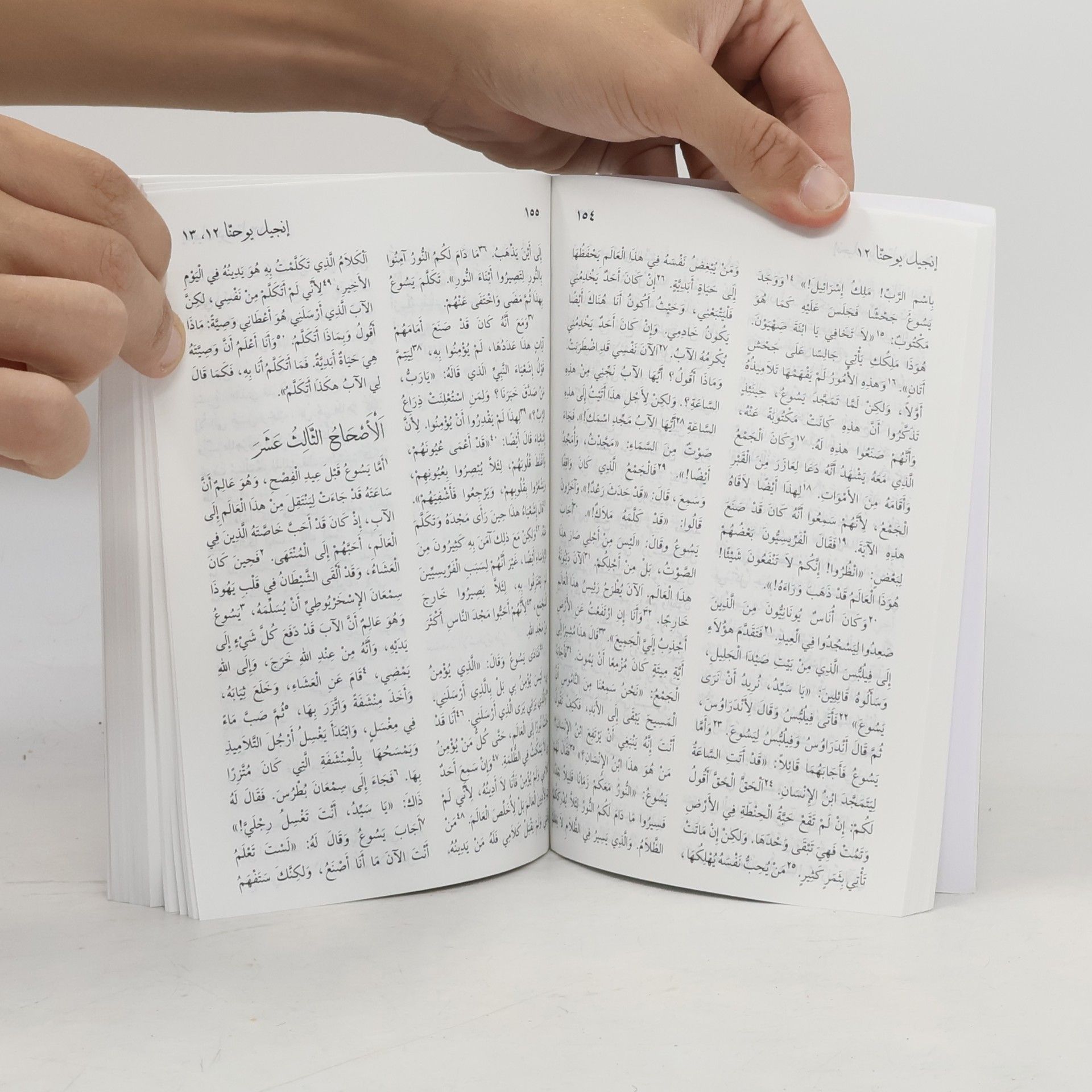 Kolektív autorov Arabic - New Testament