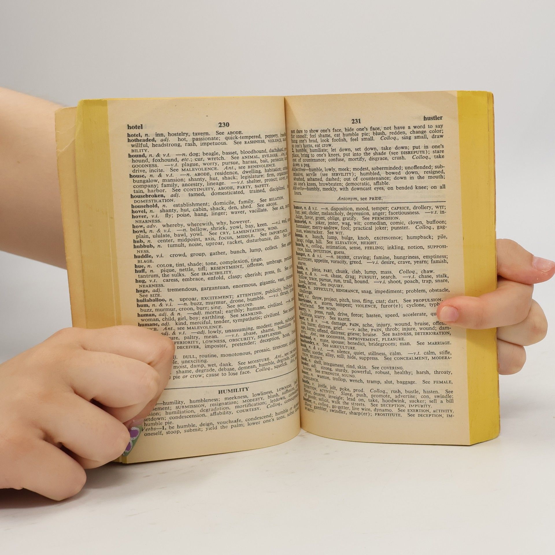 Autorenkollektiv The New American Roget's College Thesaurus in Dictionary Form