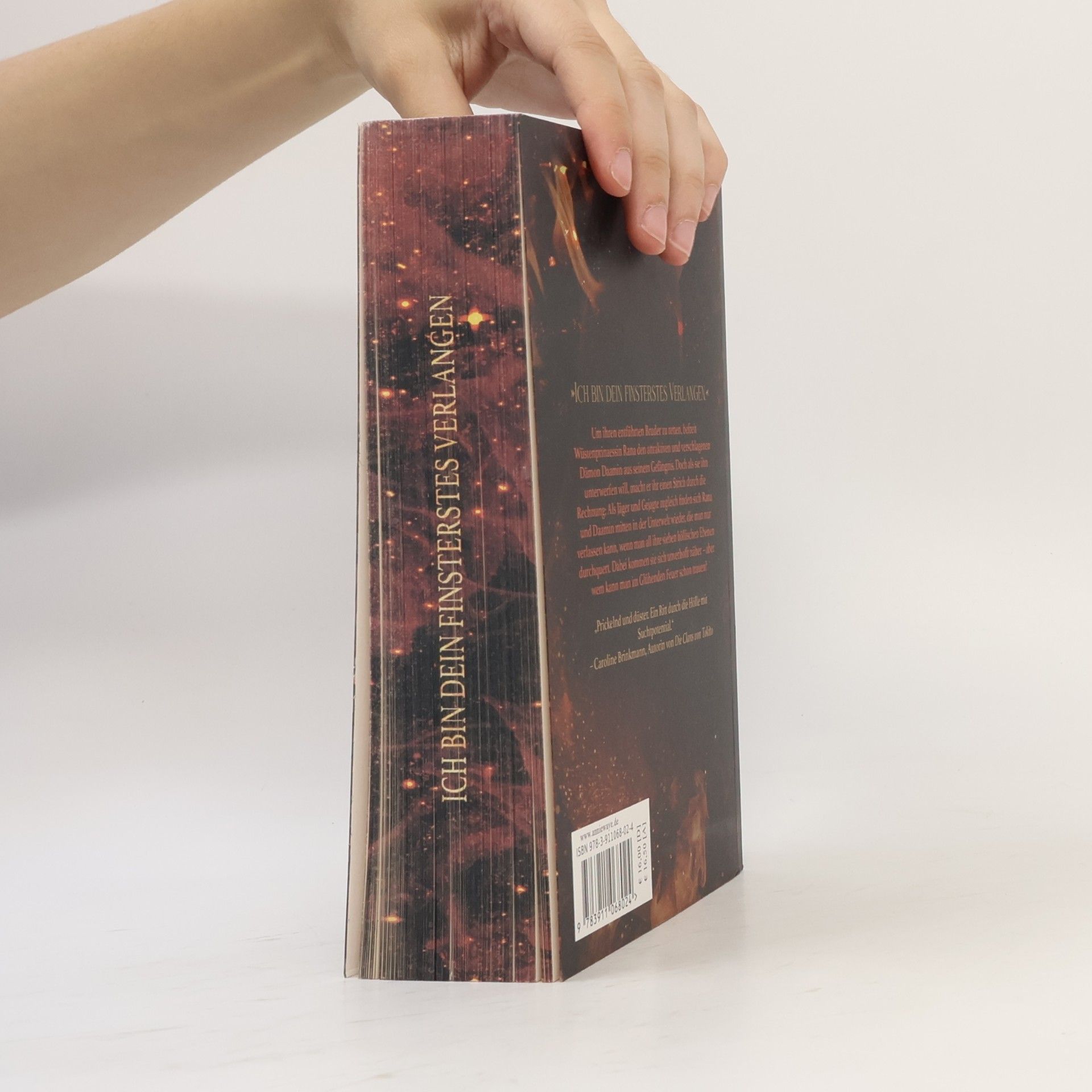 Annie Waye Seven Hells 1: Glühendes Feuer