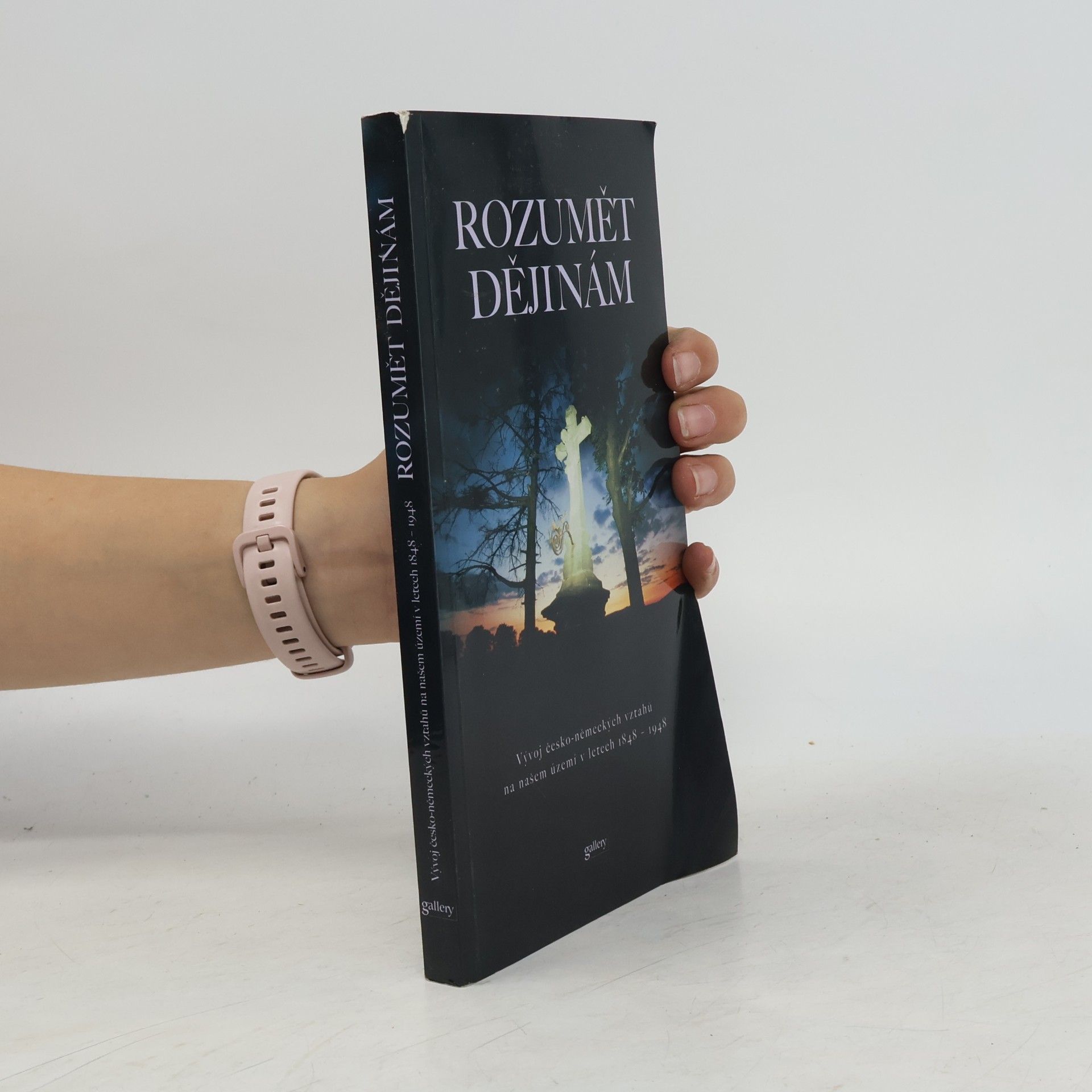 Autorenkollektiv Rozumět dějinám. Vývoj česko-nemeckých vztahů na našem území v letech 1848 - 1948