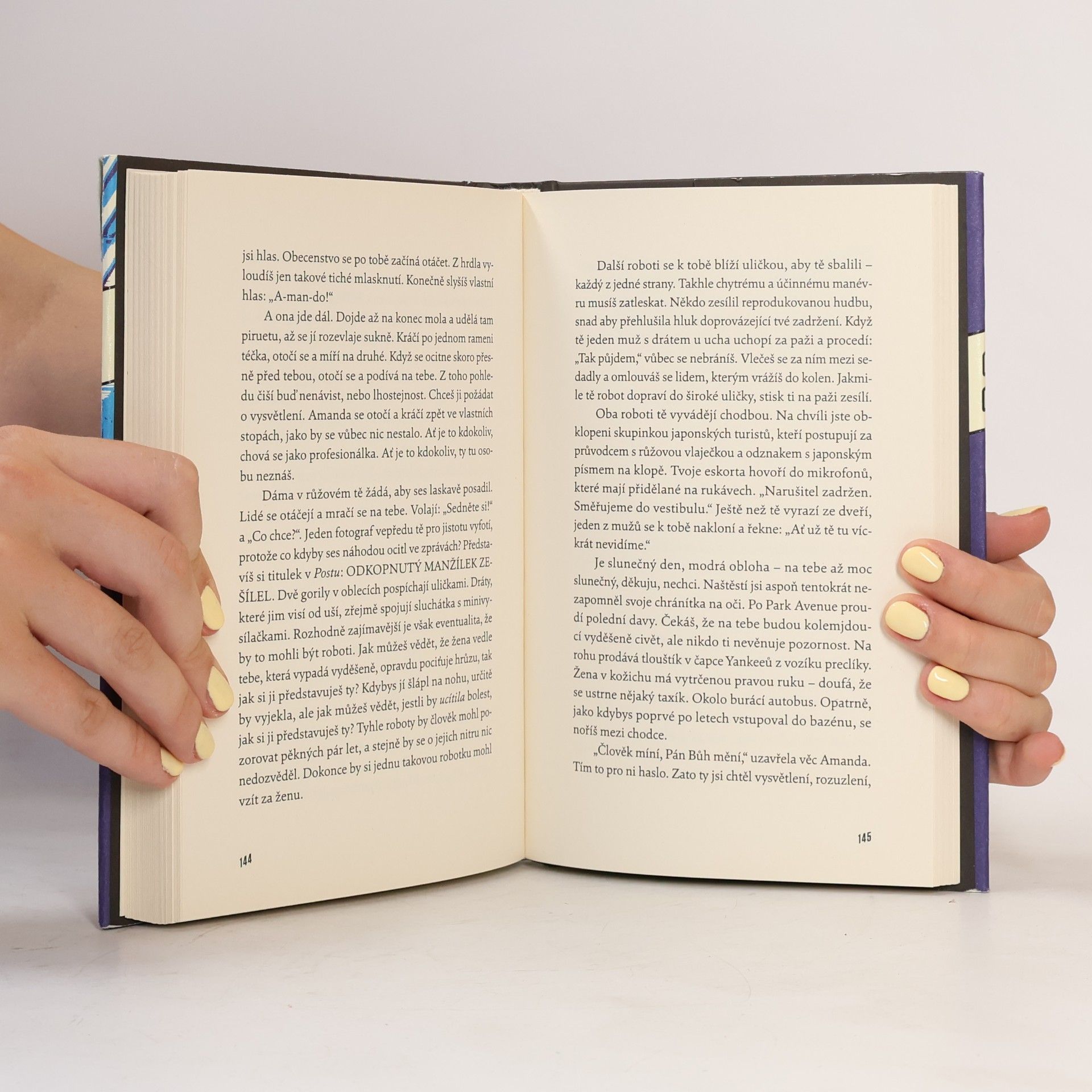 Jay McInerney Zářivá světla velkoměsta