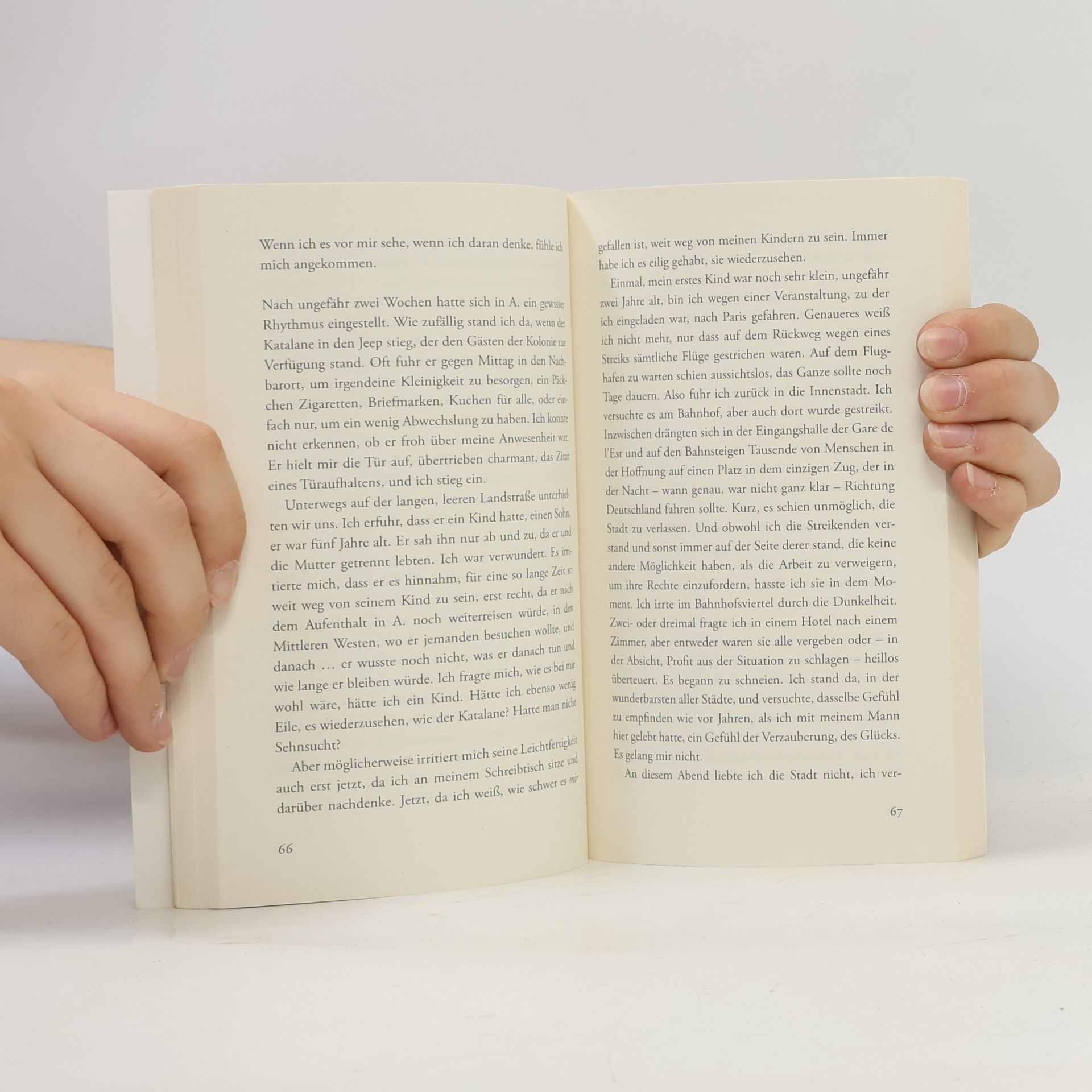 Julia Schoch Wild nach einem wilden Traum: Roman | Über eine lang zurückliegende Liebe und das, was die Erinnerung daraus macht – der fulminante Abschluss der gefeierten Trilogie (Biographie einer Frau, Band 3)
