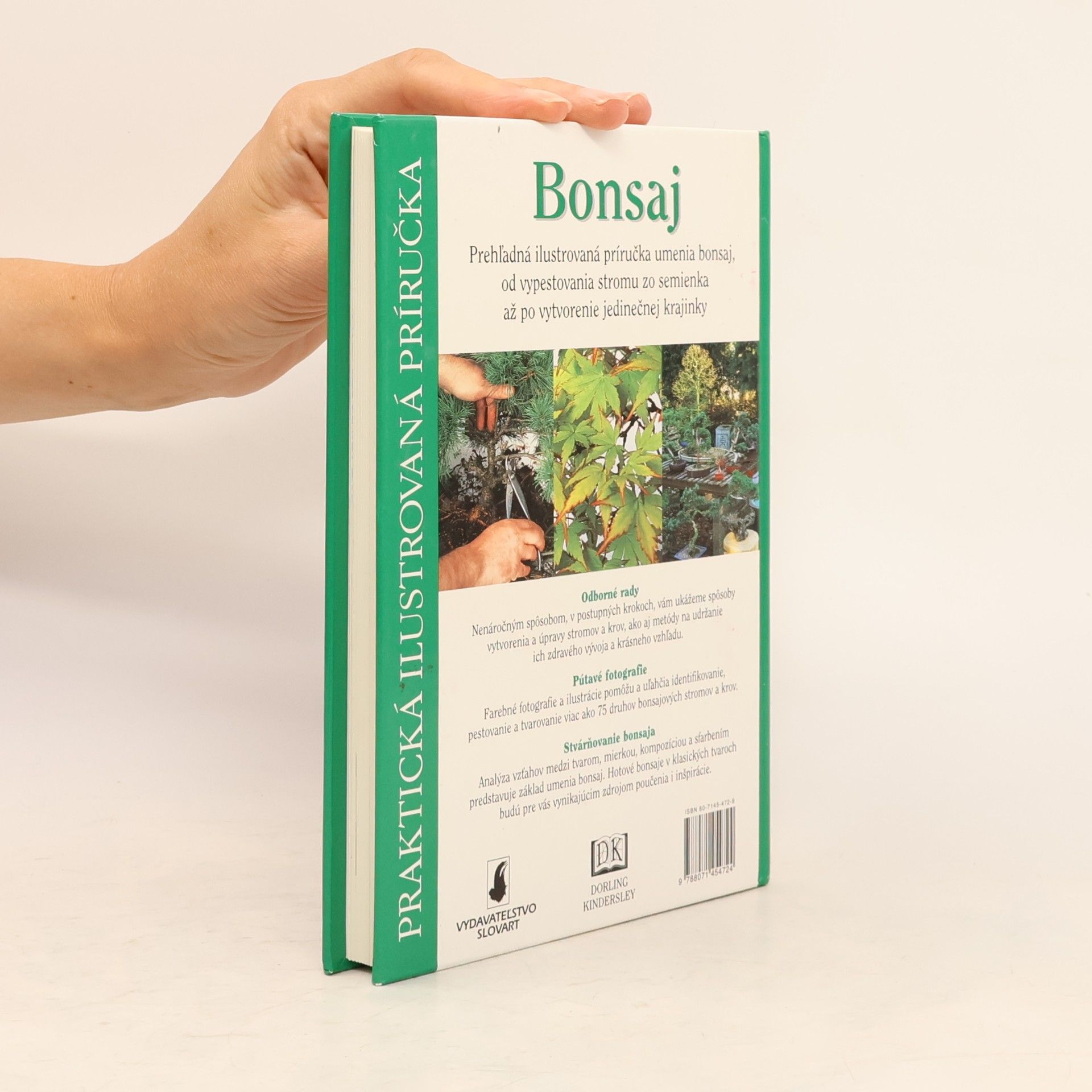 Autorenkollektiv Bonsaj