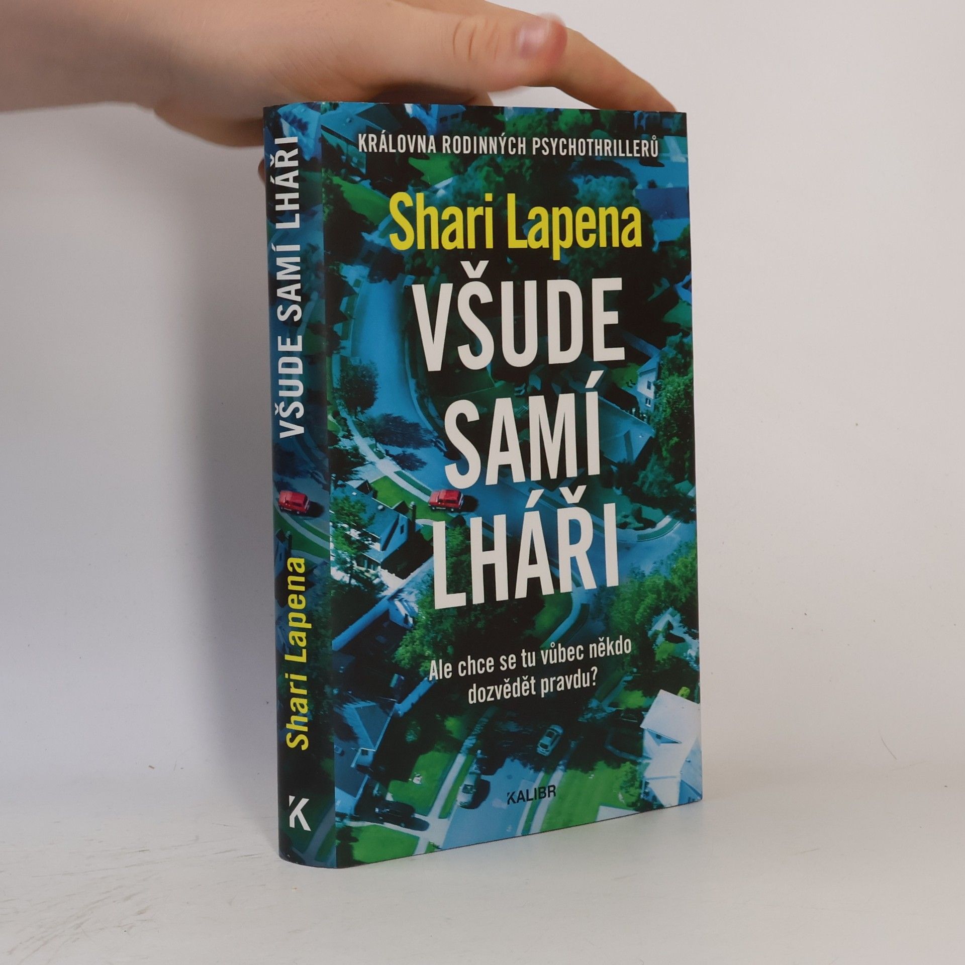 Shari Lapena Všude samí lháři