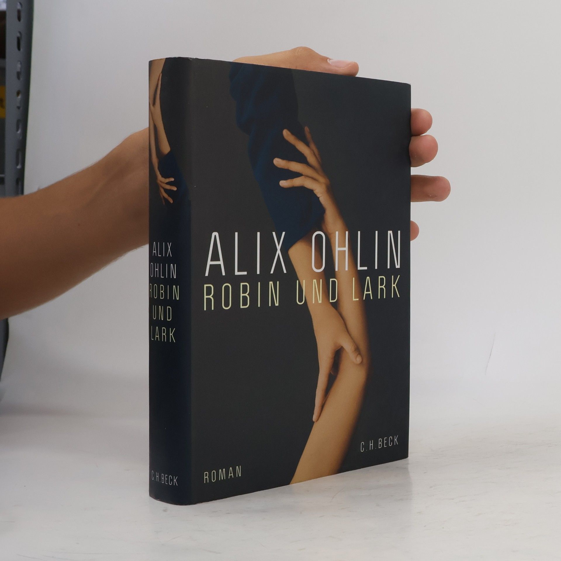 Alix Ohlin Robin und Lark
