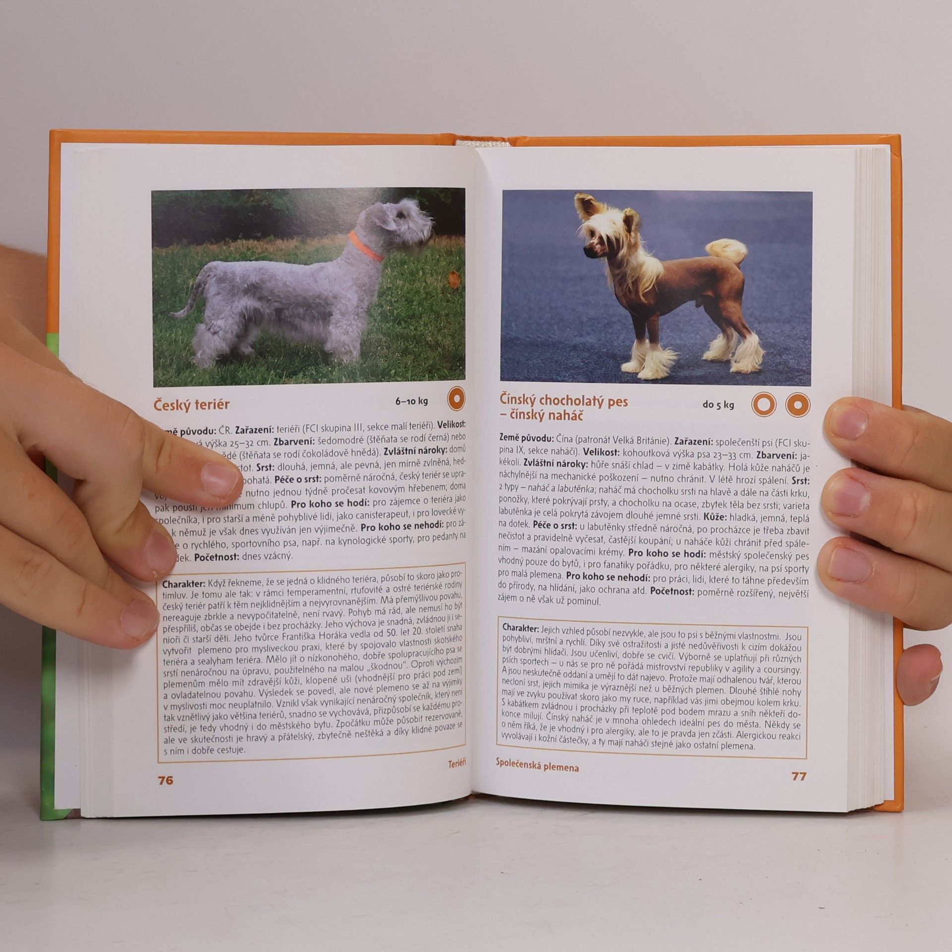 Lea Smrčková Psi. Příruční atlas