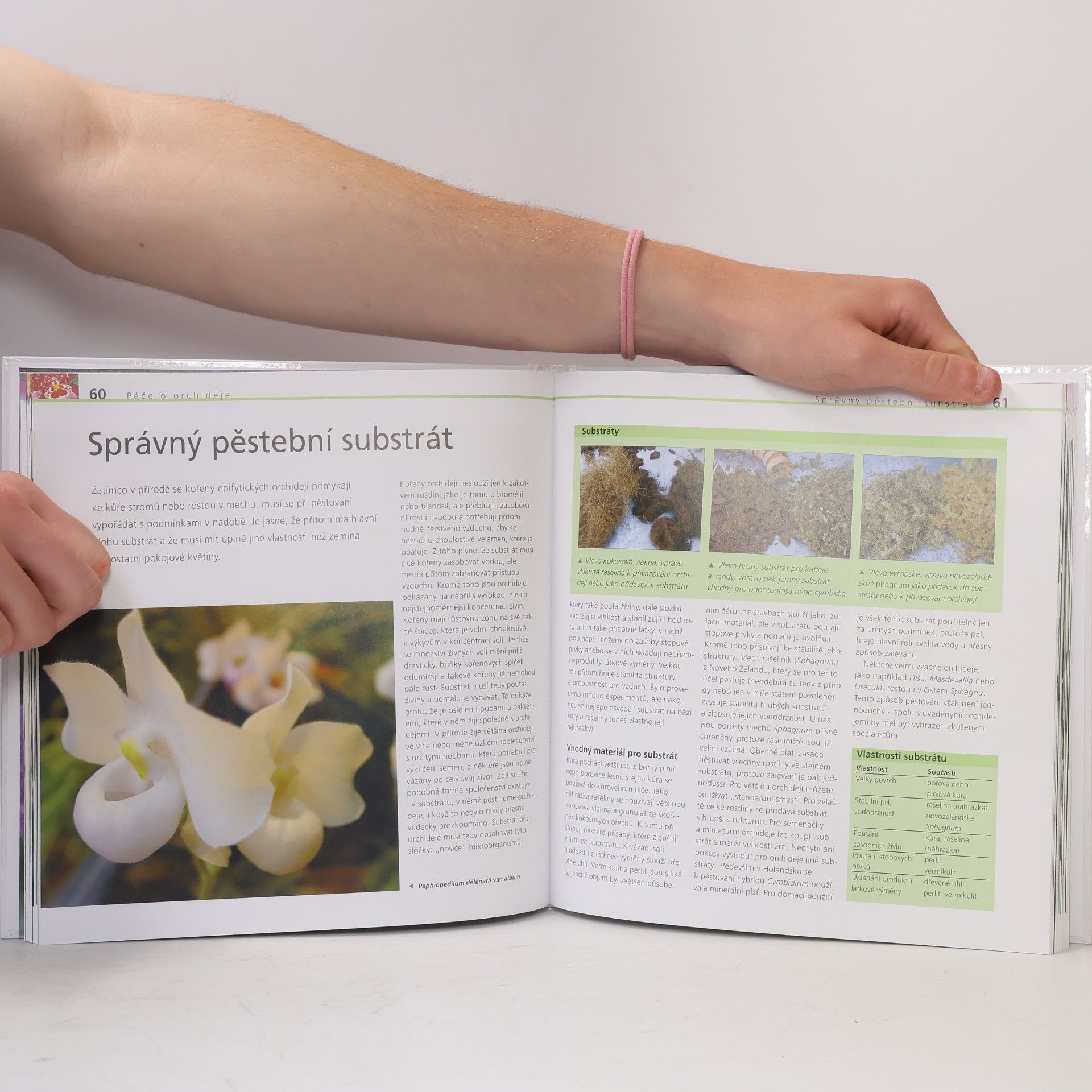 Joachim Erfkamp Kouzelné orchideje