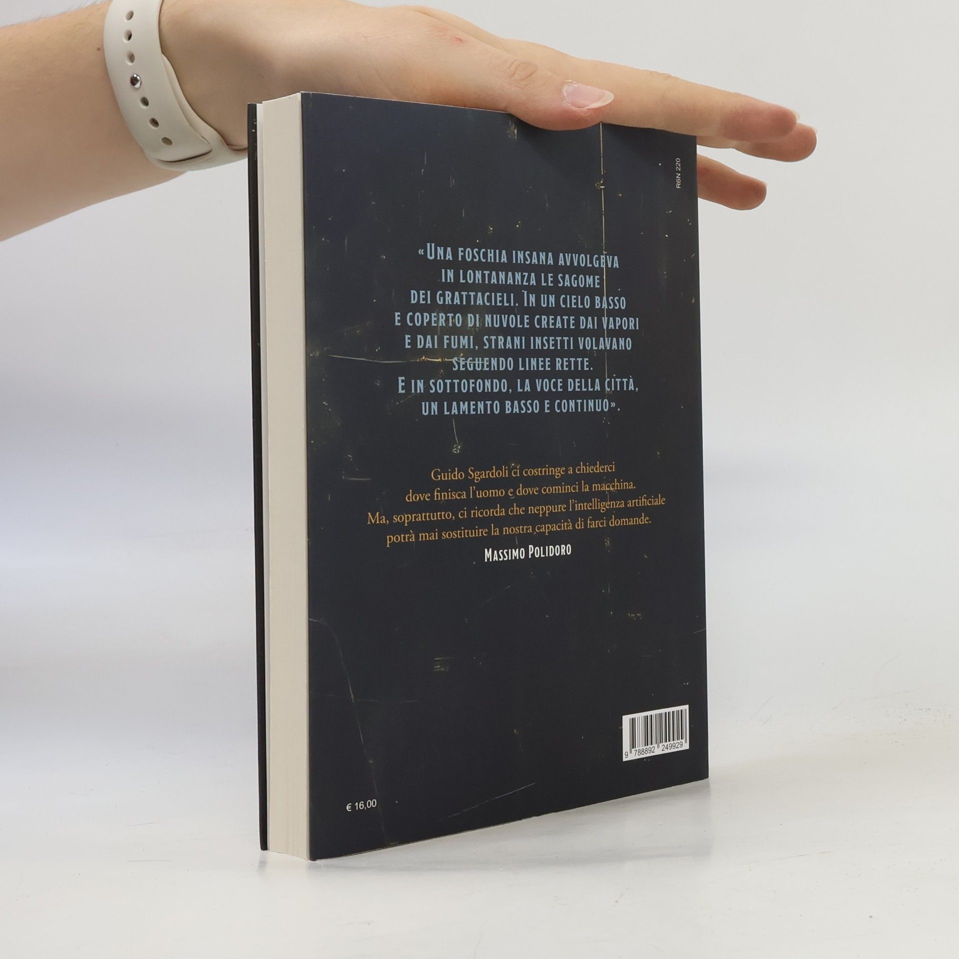 Guido Sgardoli Haven's end (Narrativa San Paolo ragazzi)