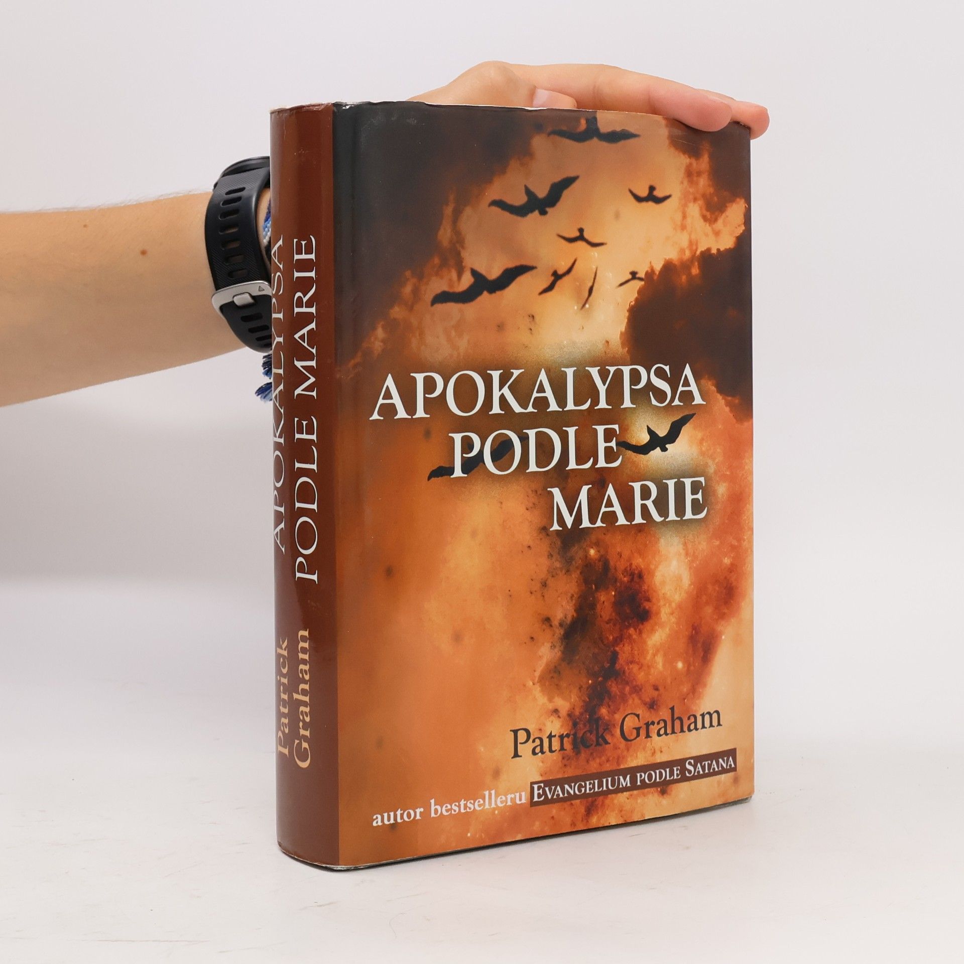 Patrick Graham Apokalypsa podle Marie