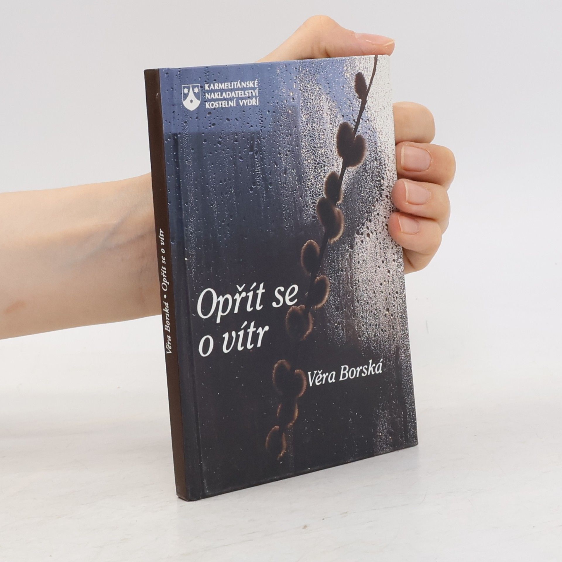 Věra Borská Opřít se o vítr