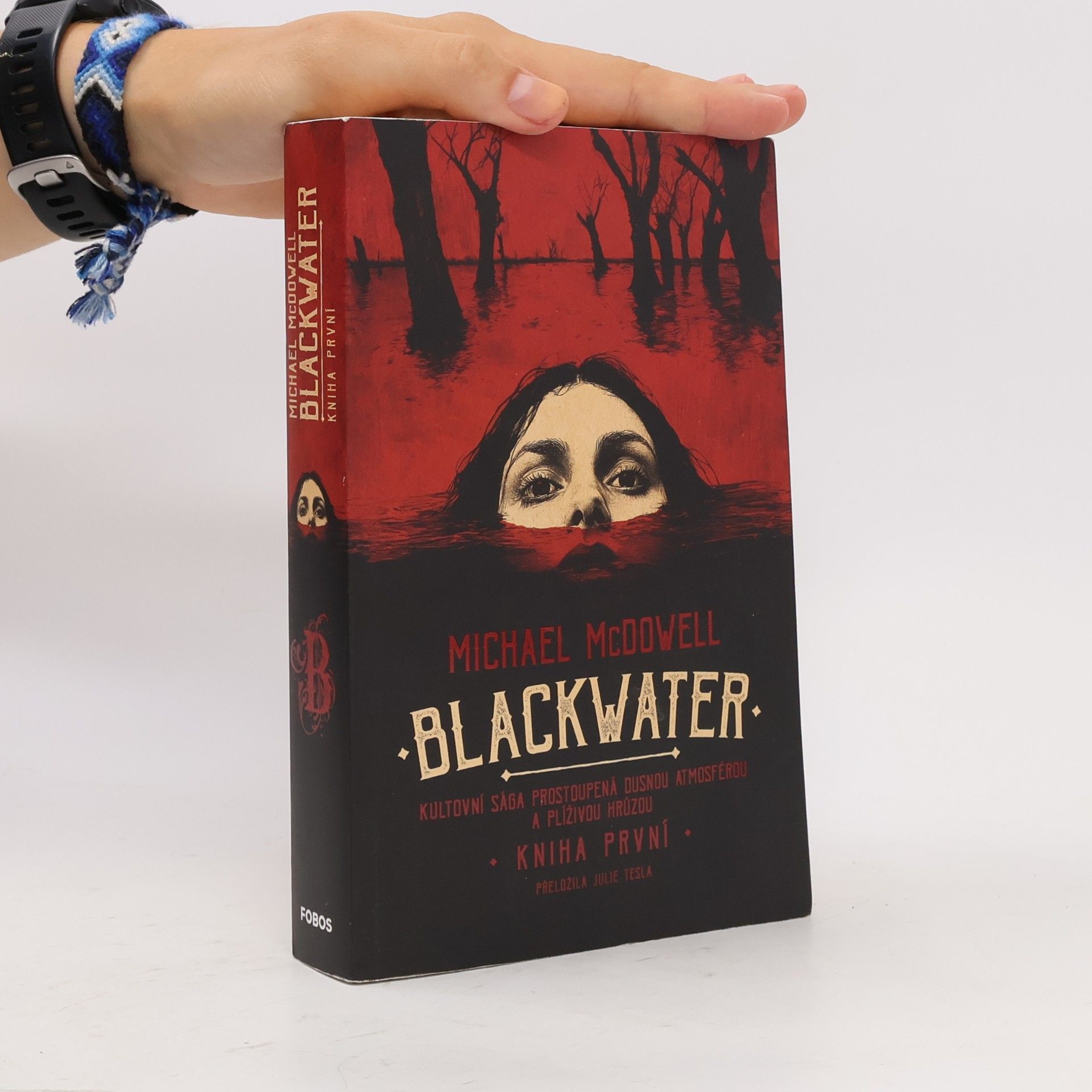 Michael McDowell Blackwater