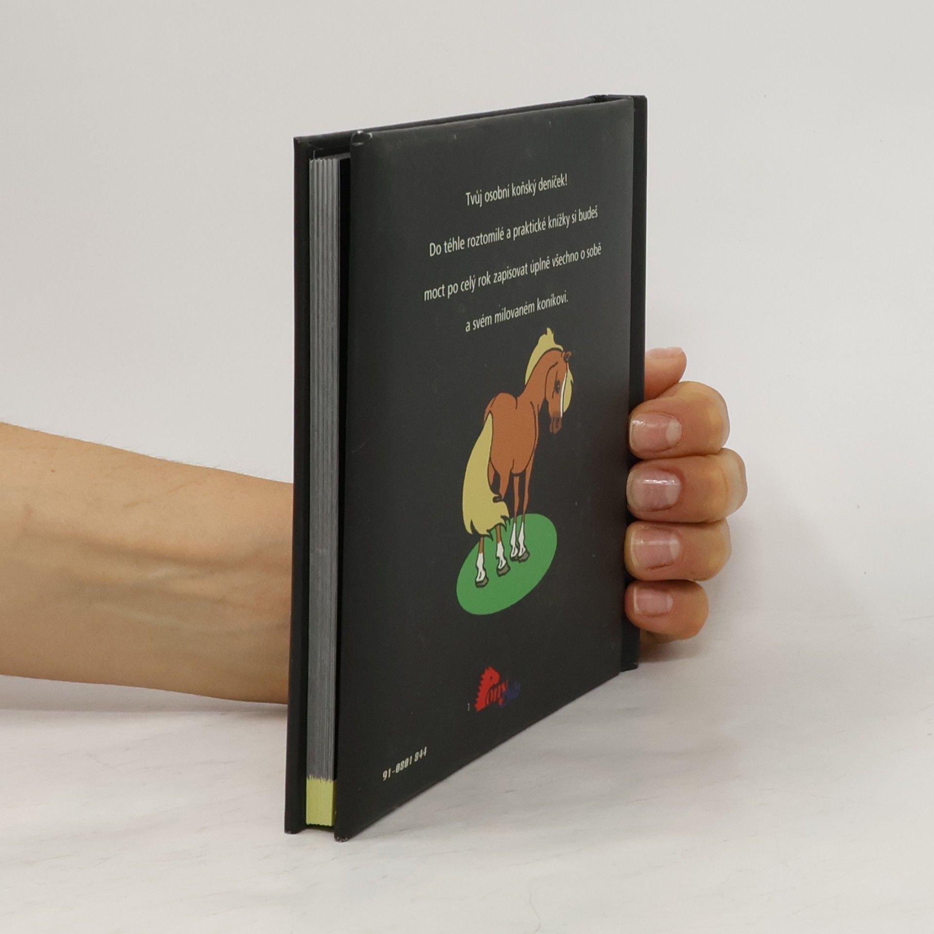 Collectif d'auteurs Já a můj kůň