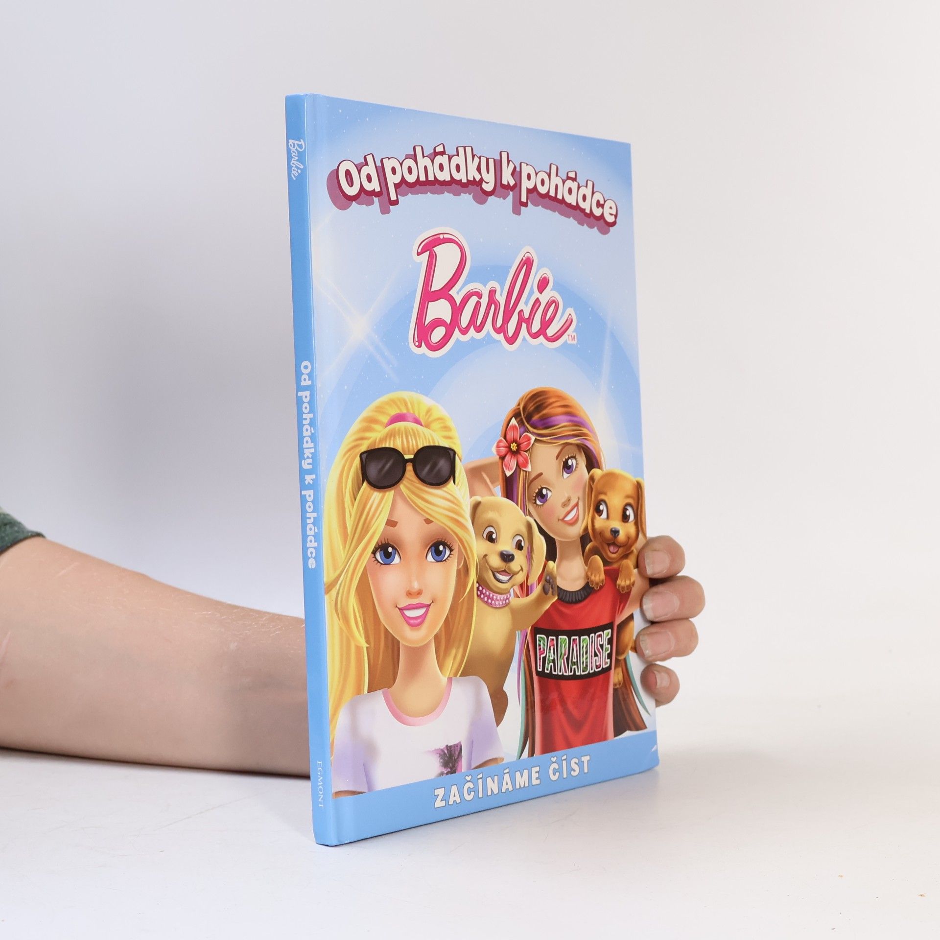 Kolektiv autorů Barbie