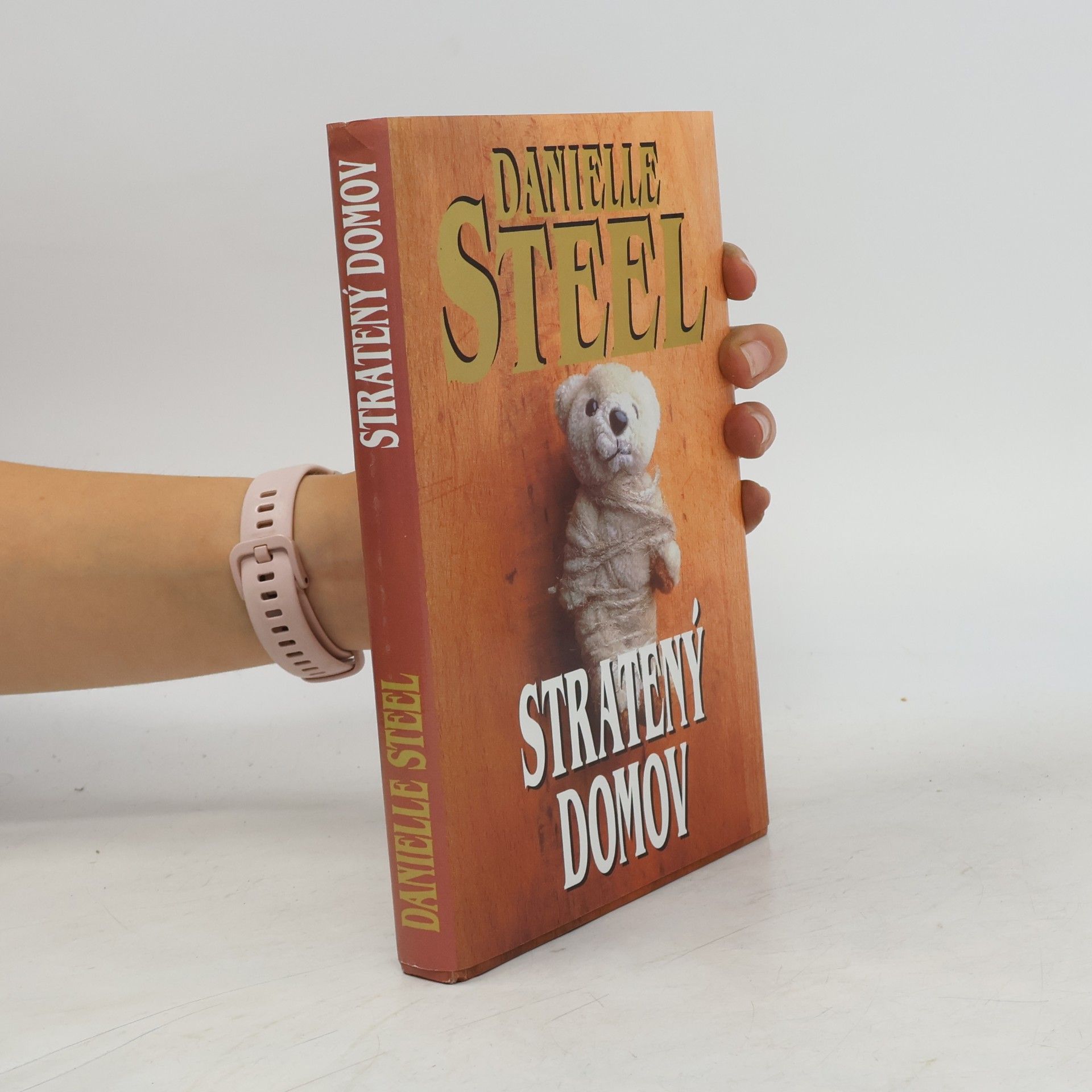 Danielle Steelová Stratený domov