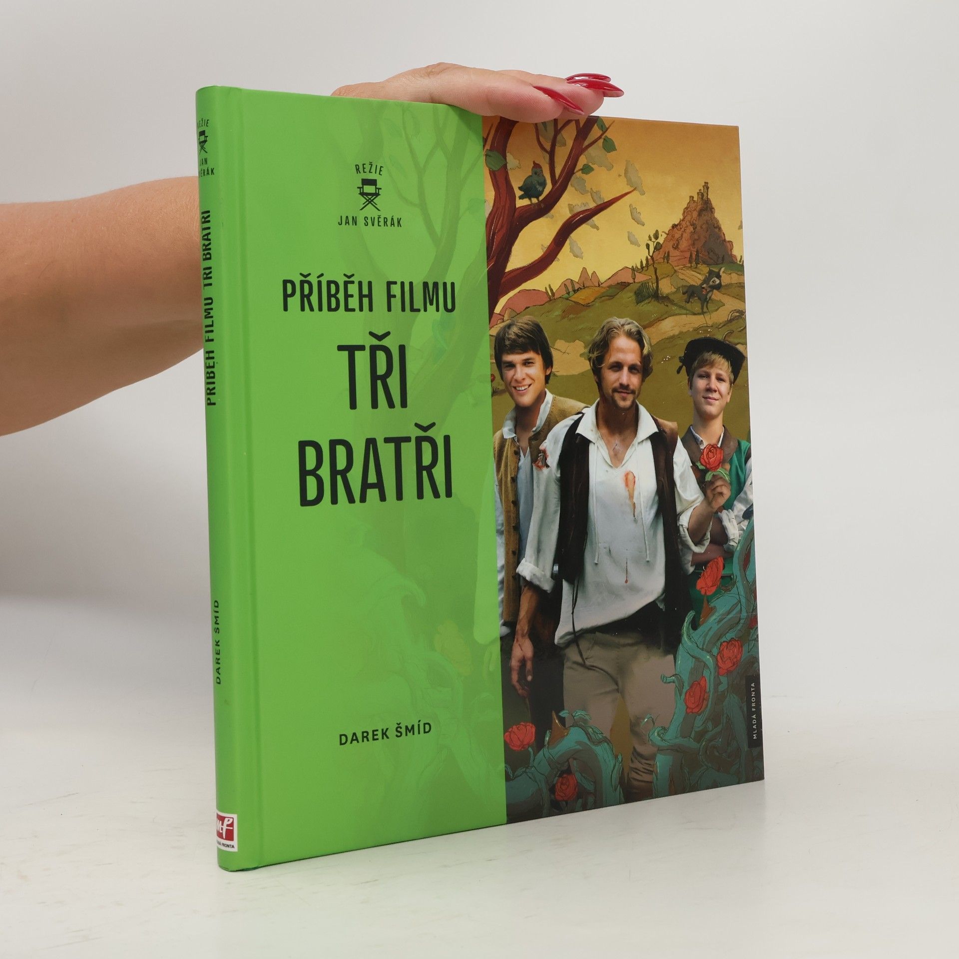 Darek Šmíd Příběh filmu Tři bratři