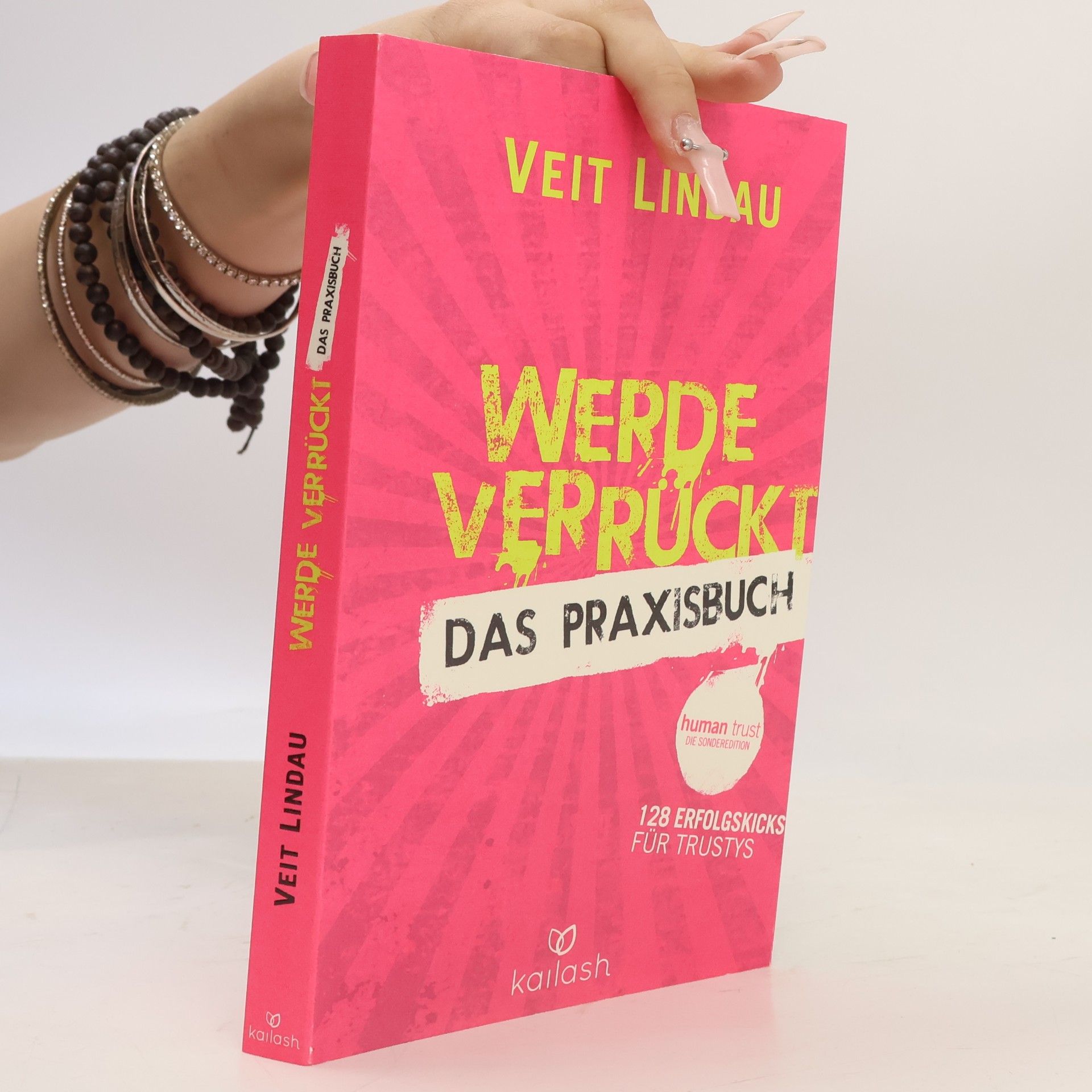 Veit Lindau Werde verrückt – Das Praxisbuch: 128 Kicks für deinen Erfolg